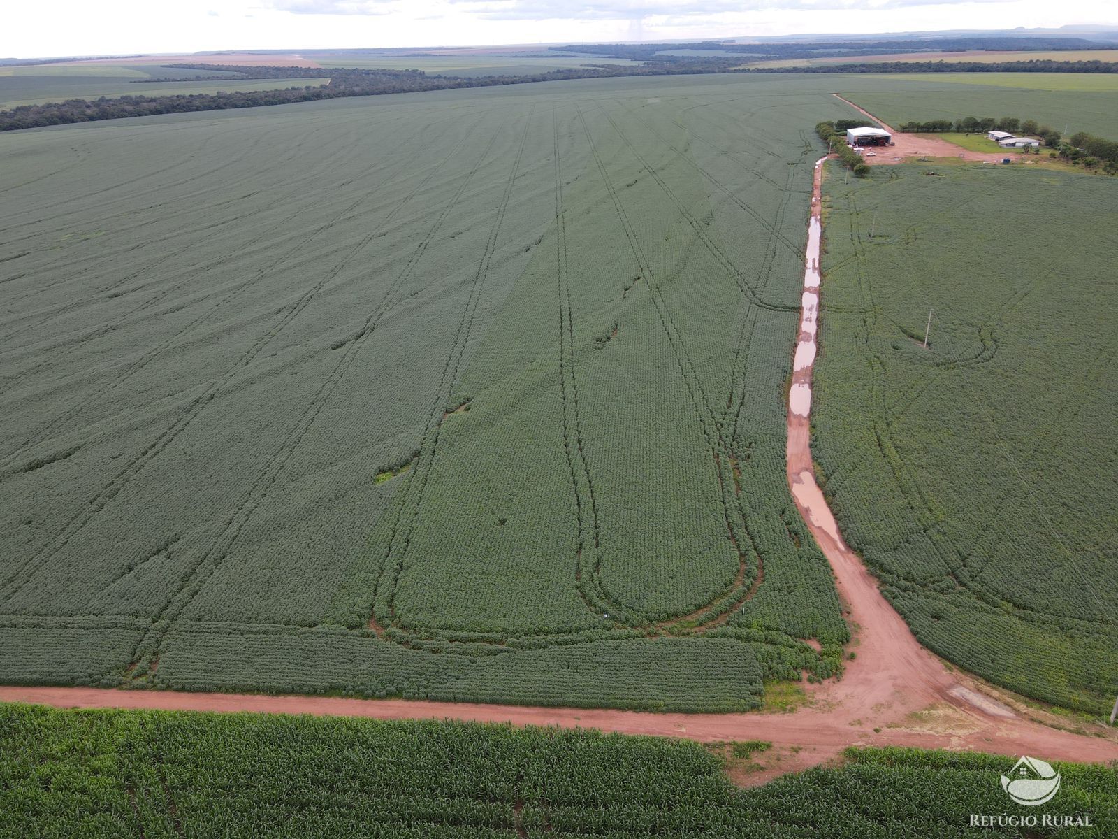 Fazenda à venda com 2 quartos, 8580000m² - Foto 4