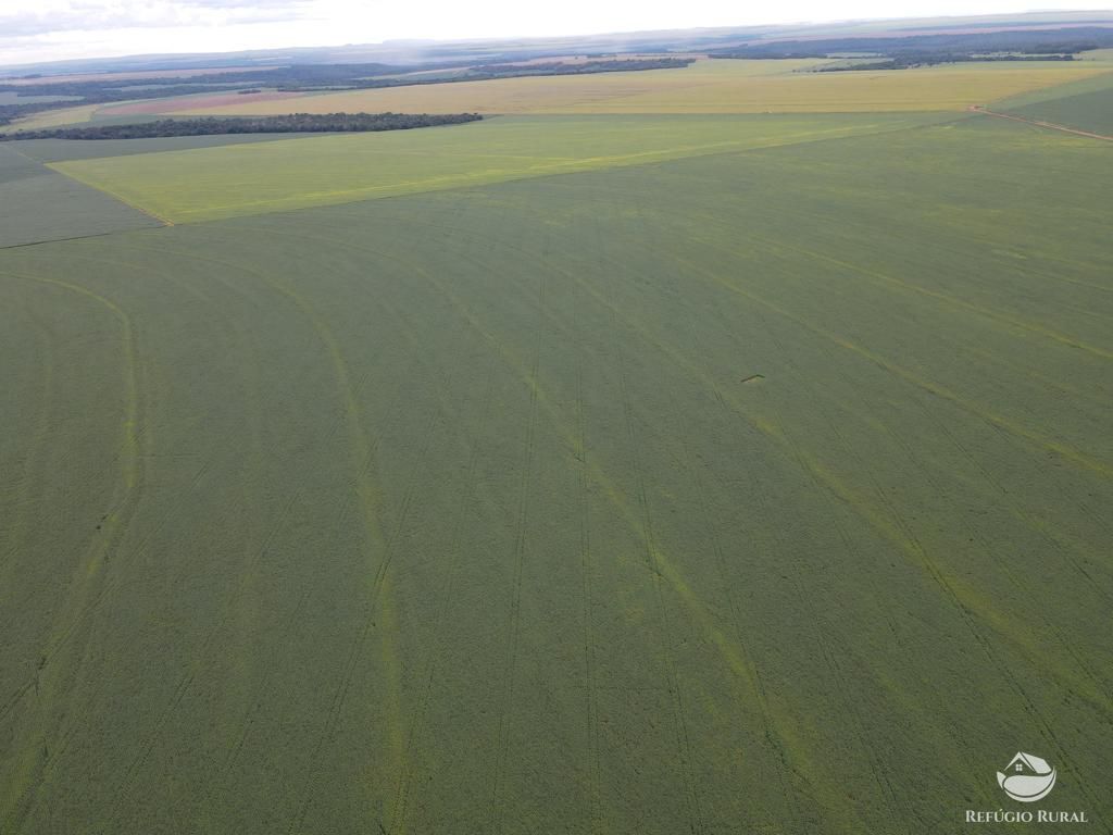 Fazenda à venda com 2 quartos, 8580000m² - Foto 6