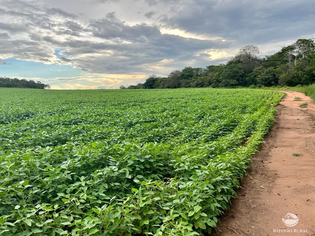 Fazenda à venda com 2 quartos, 8580000m² - Foto 17