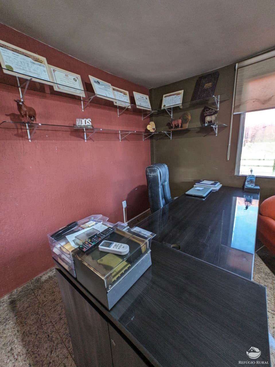 Fazenda, 510 hectares - Foto 11