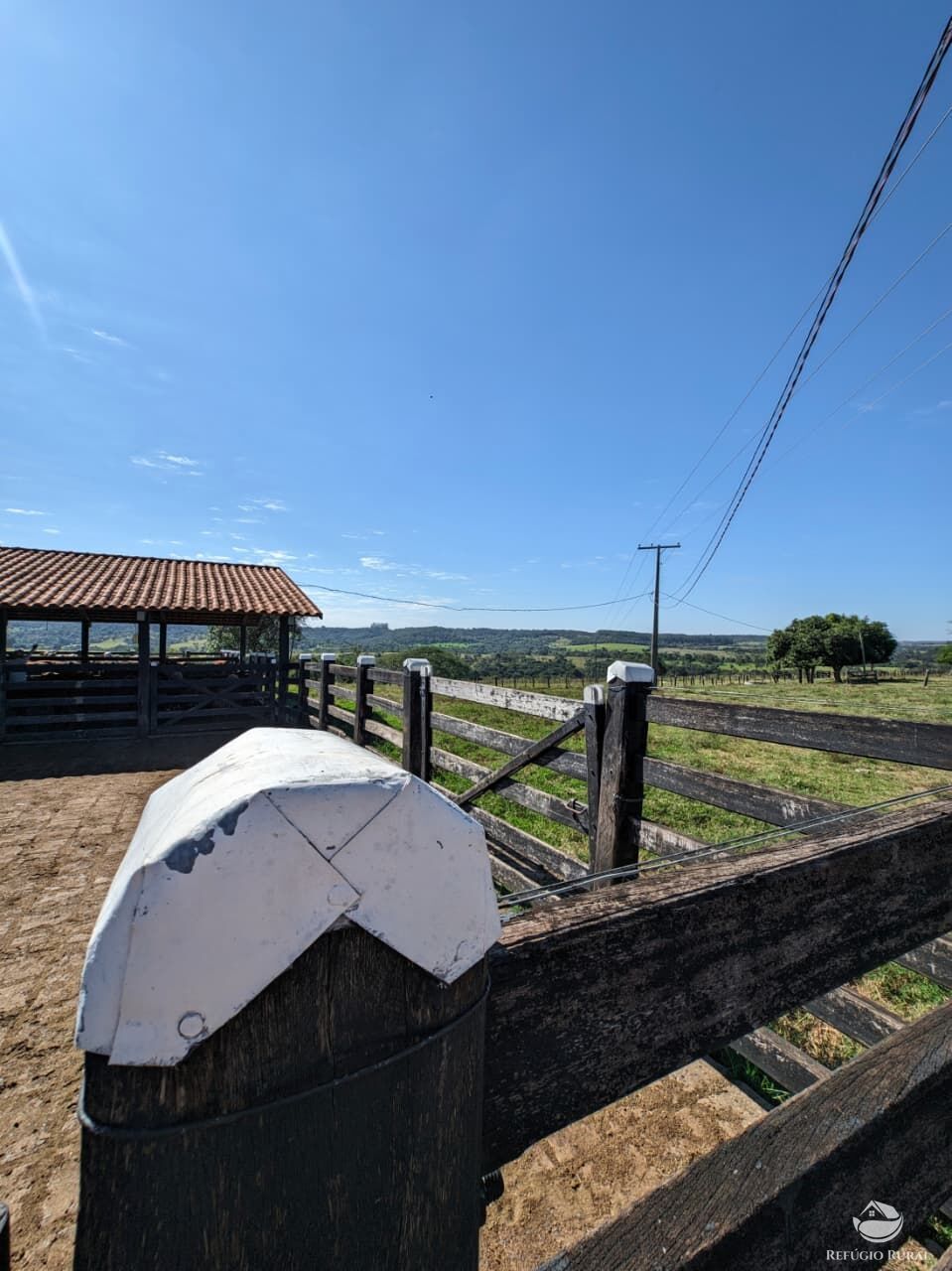 Fazenda, 510 hectares - Foto 6