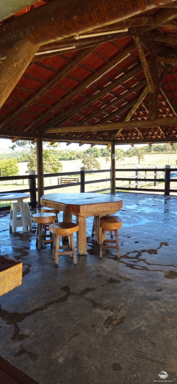 Fazenda, 510 hectares - Foto 12