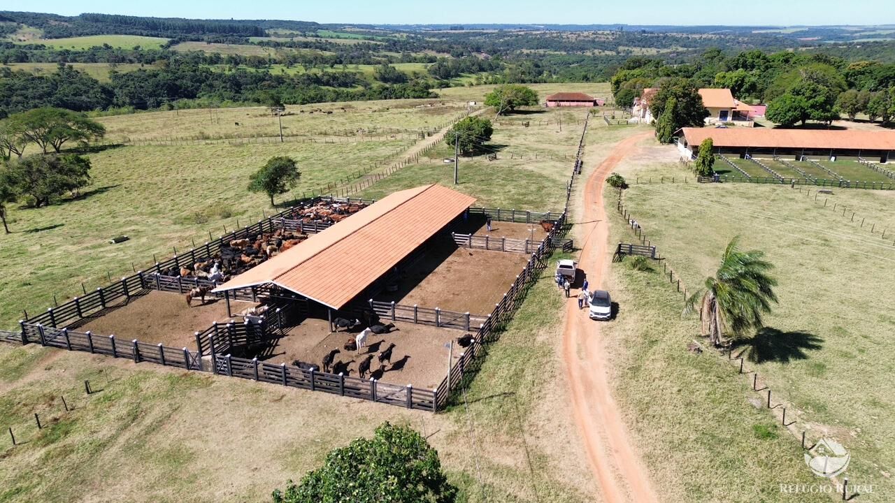 Fazenda, 510 hectares - Foto 1