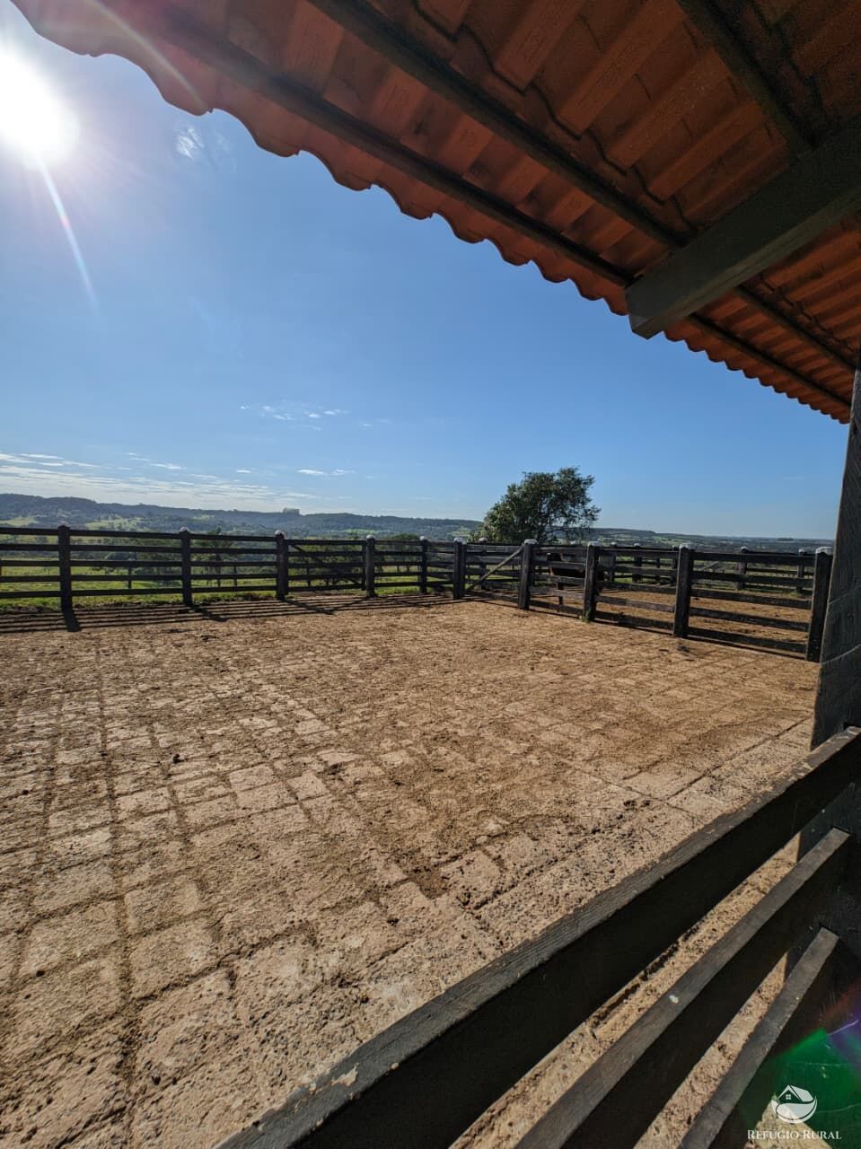 Fazenda, 510 hectares - Foto 8