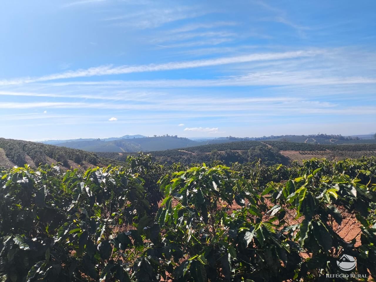 Fazenda, 169 hectares - Foto 19