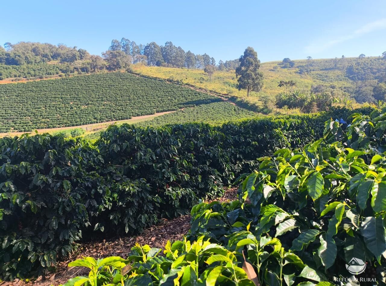 Fazenda, 169 hectares - Foto 1