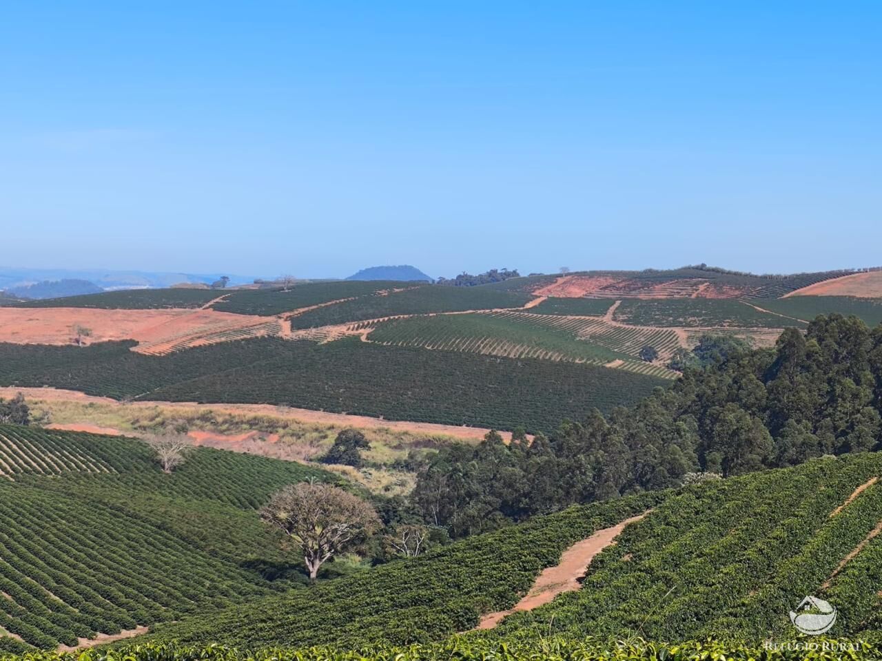 Fazenda, 169 hectares - Foto 7