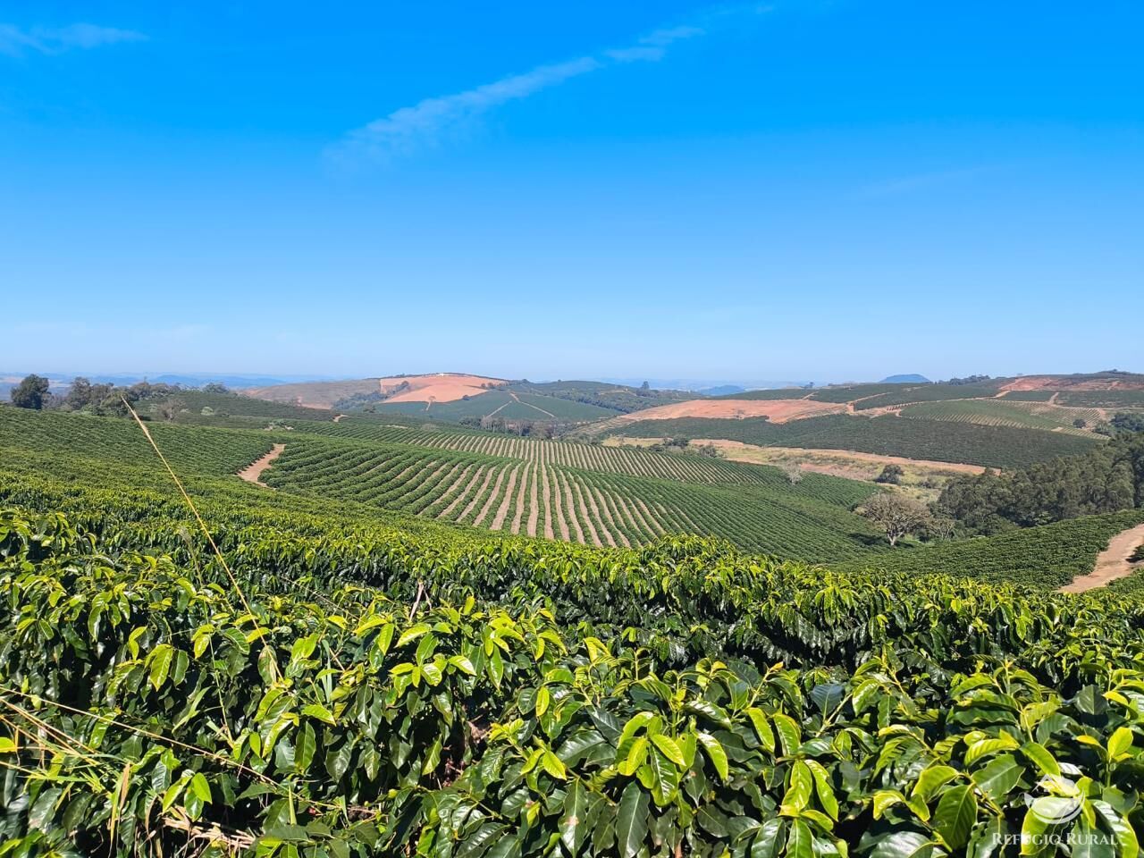 Fazenda, 169 hectares - Foto 5