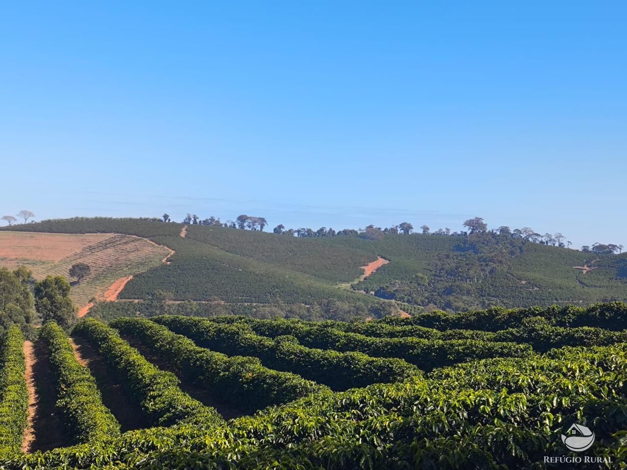 Fazenda, 169 hectares - Foto 8