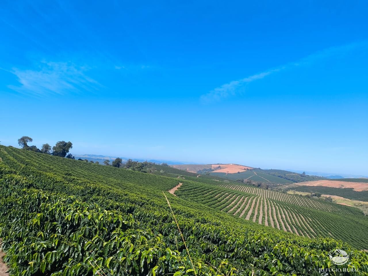 Fazenda, 169 hectares - Foto 10