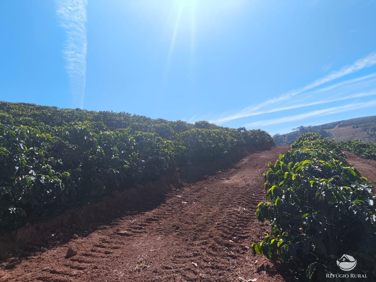 Fazenda, 169 hectares - Foto 16