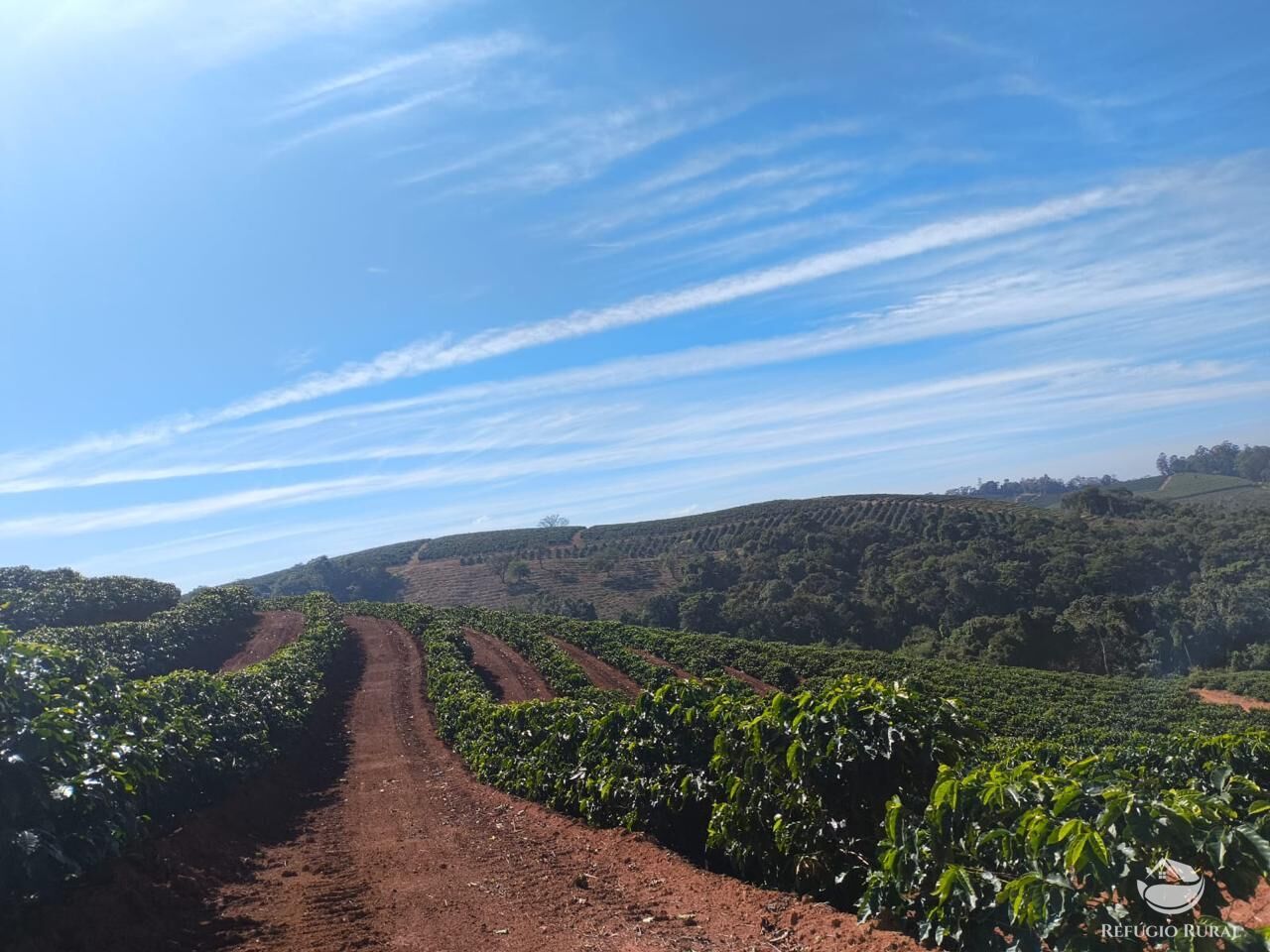 Fazenda, 169 hectares - Foto 18