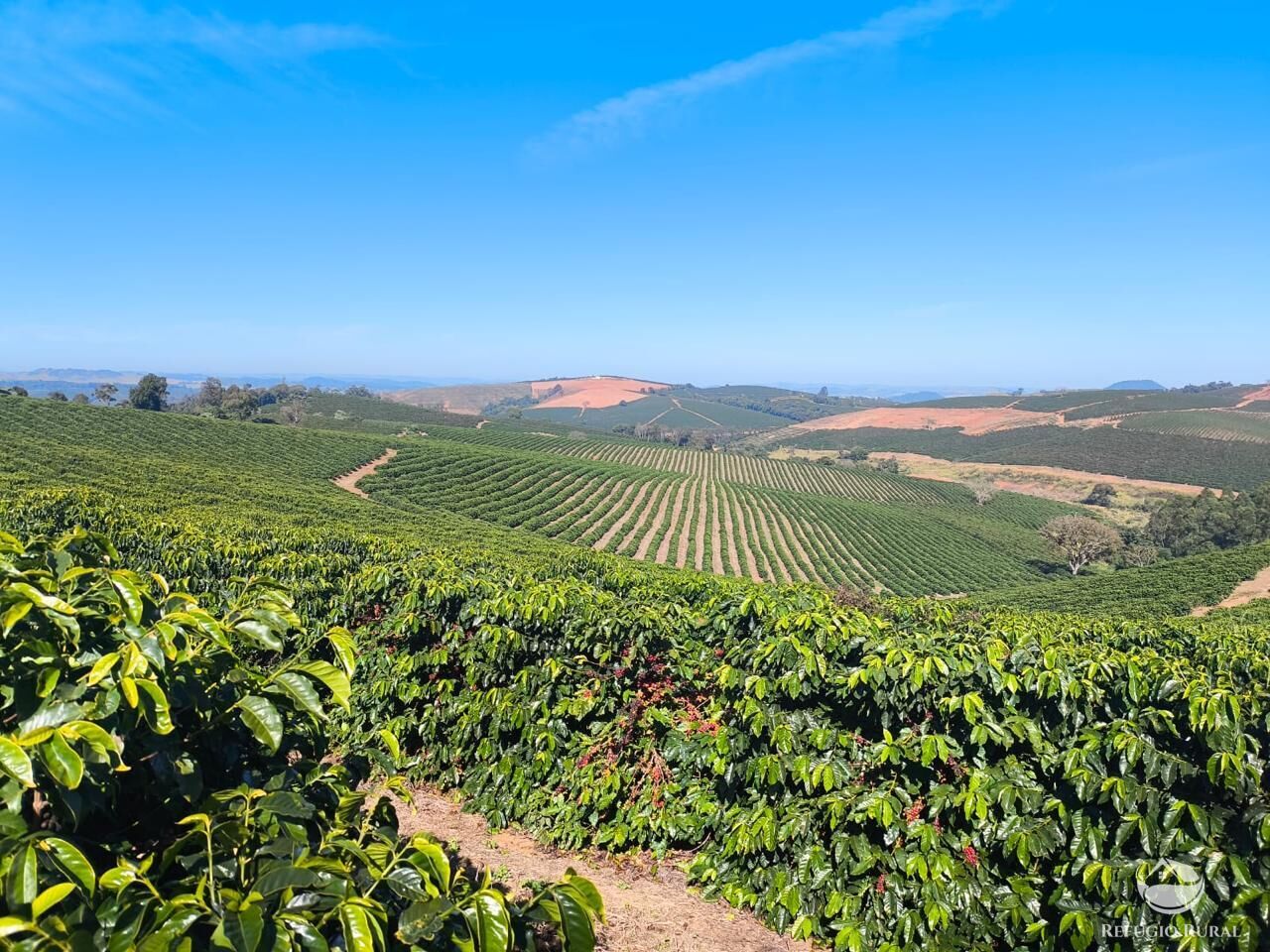 Fazenda, 169 hectares - Foto 3