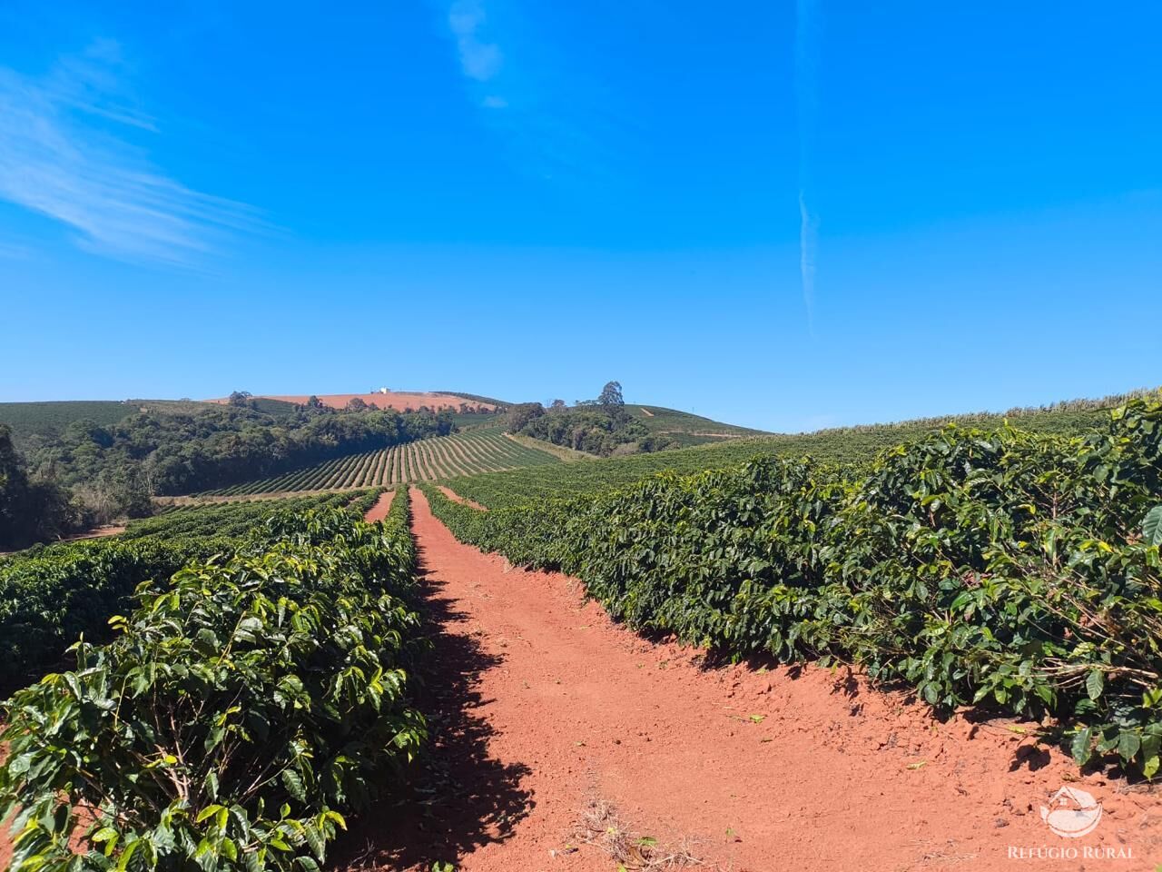 Fazenda, 169 hectares - Foto 15