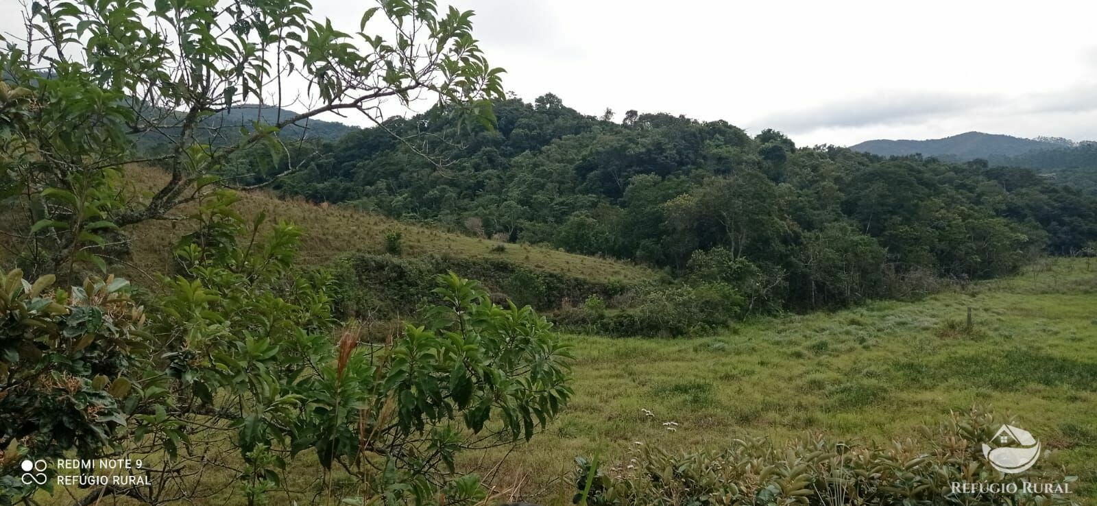 Fazenda à venda com 2 quartos, 2492600m² - Foto 46