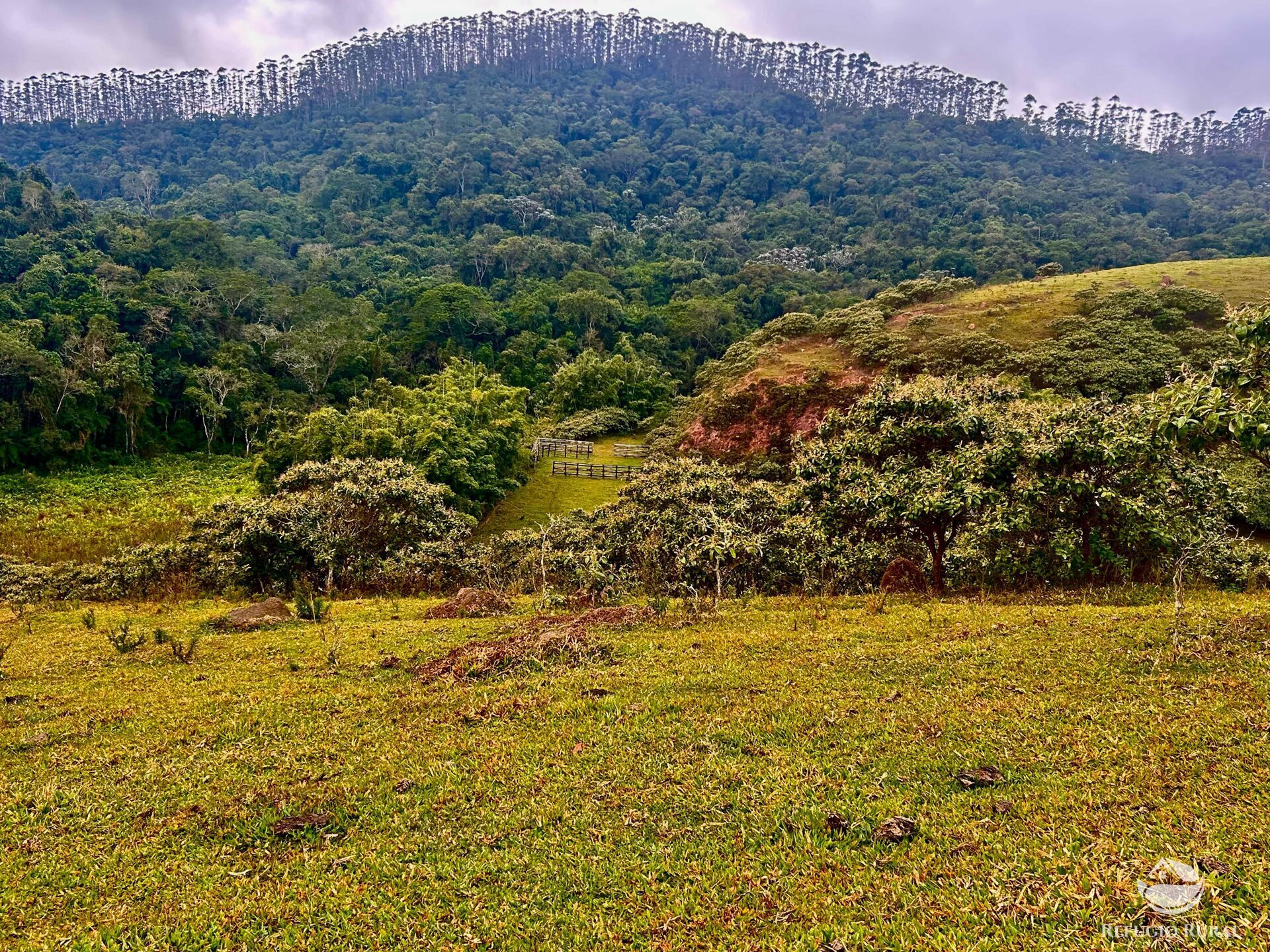 Fazenda à venda com 2 quartos, 2492600m² - Foto 16