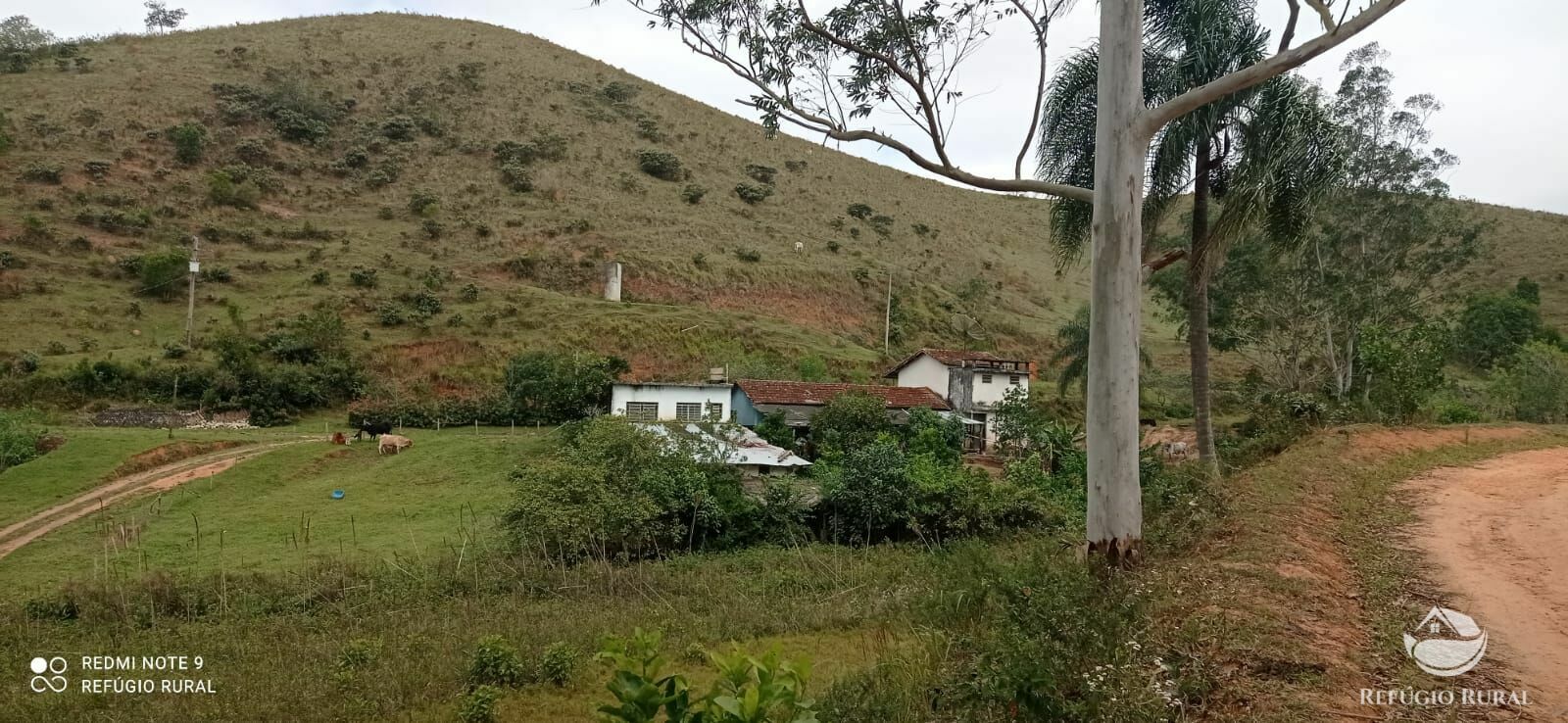 Fazenda à venda com 2 quartos, 2492600m² - Foto 3