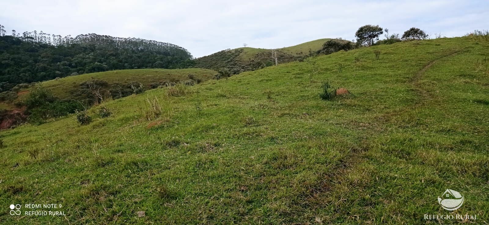 Fazenda à venda com 2 quartos, 2492600m² - Foto 23