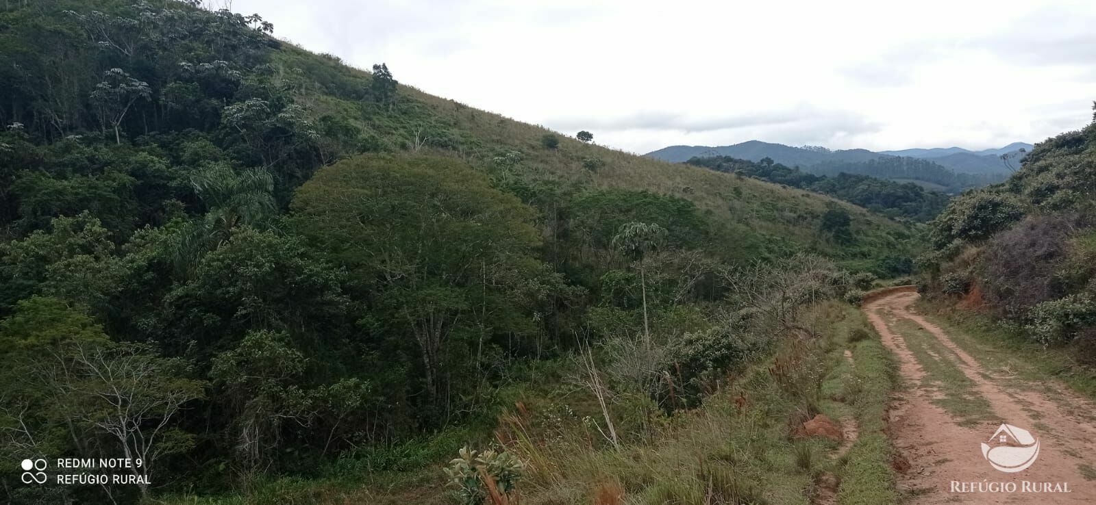 Fazenda à venda com 2 quartos, 2492600m² - Foto 48