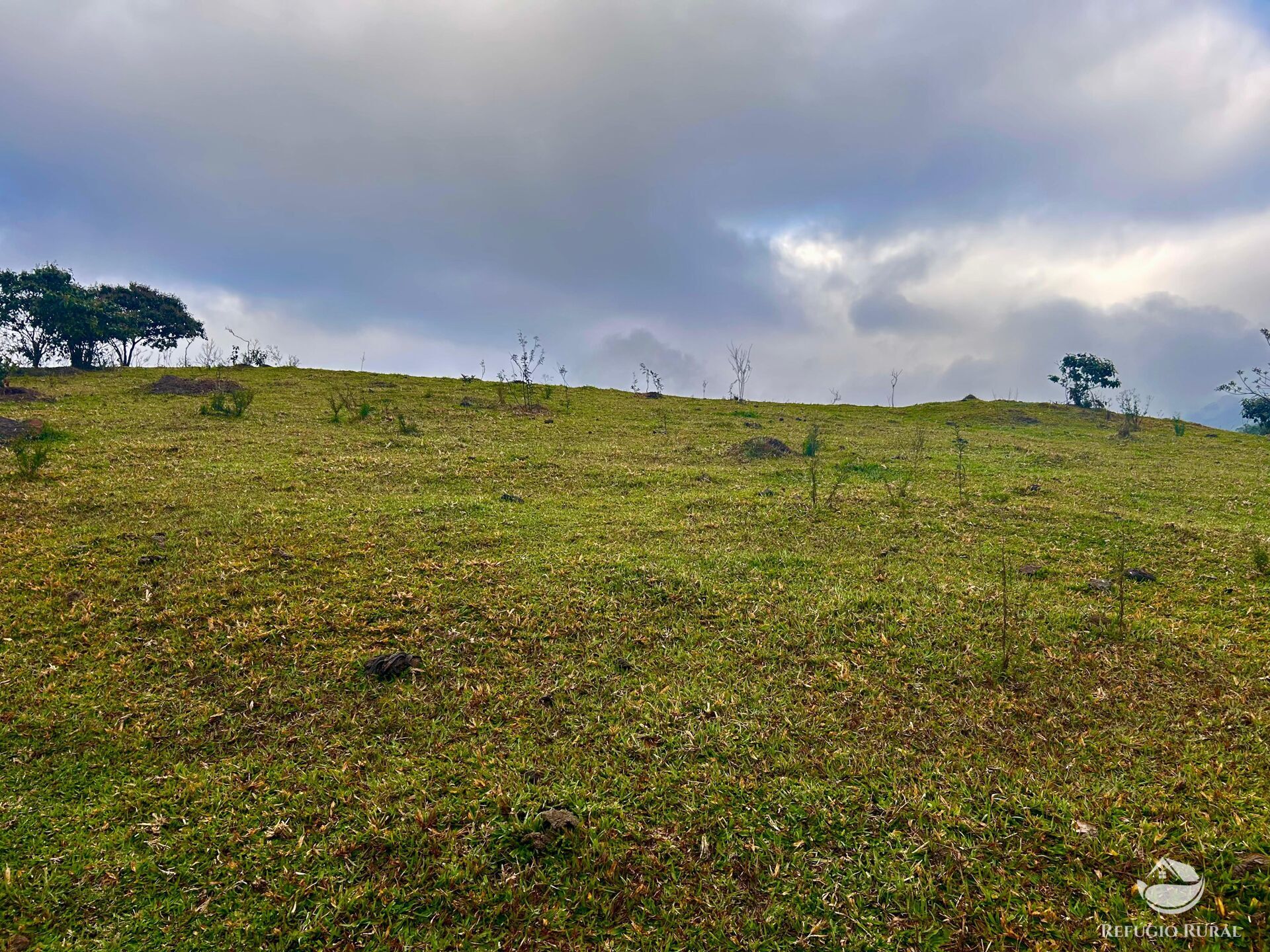 Fazenda à venda com 2 quartos, 2492600m² - Foto 42