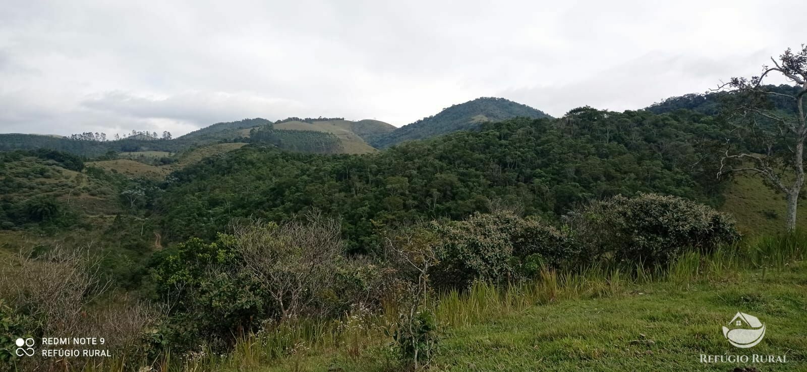 Fazenda à venda com 2 quartos, 2492600m² - Foto 29