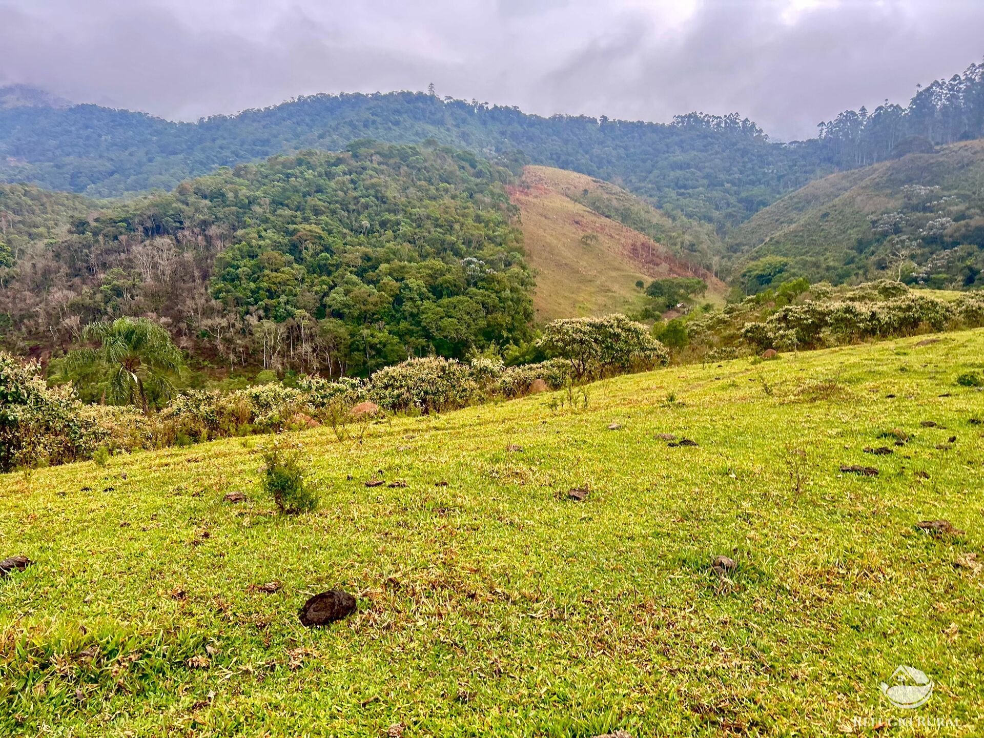 Fazenda à venda com 2 quartos, 2492600m² - Foto 18
