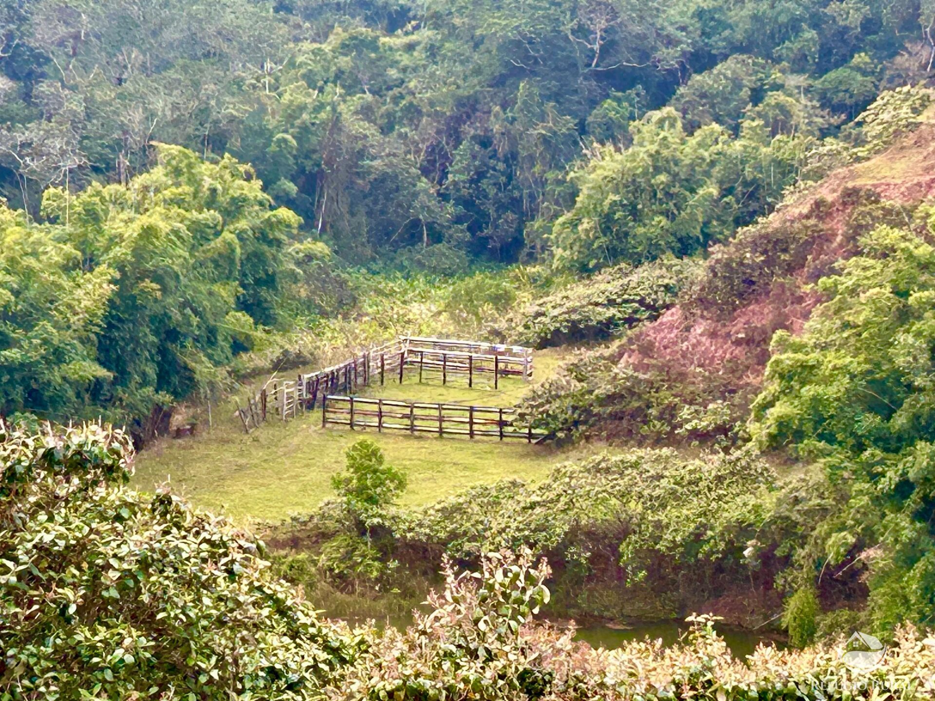 Fazenda à venda com 2 quartos, 2492600m² - Foto 19