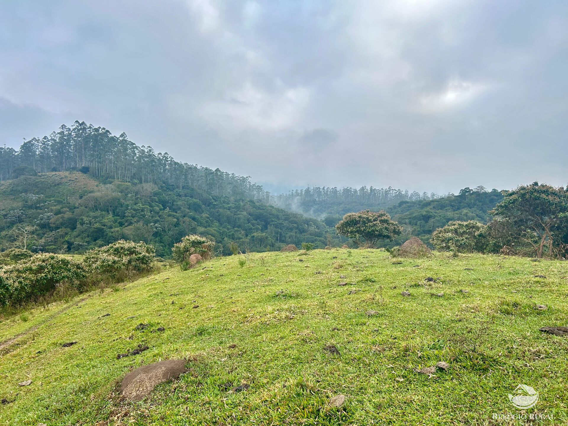Fazenda à venda com 2 quartos, 2492600m² - Foto 36
