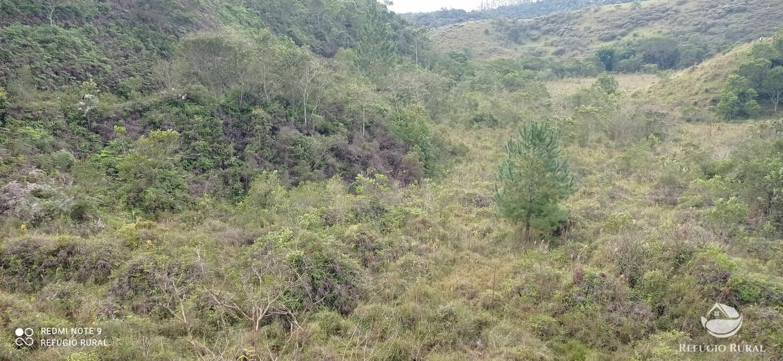 Fazenda à venda com 2 quartos, 2492600m² - Foto 35