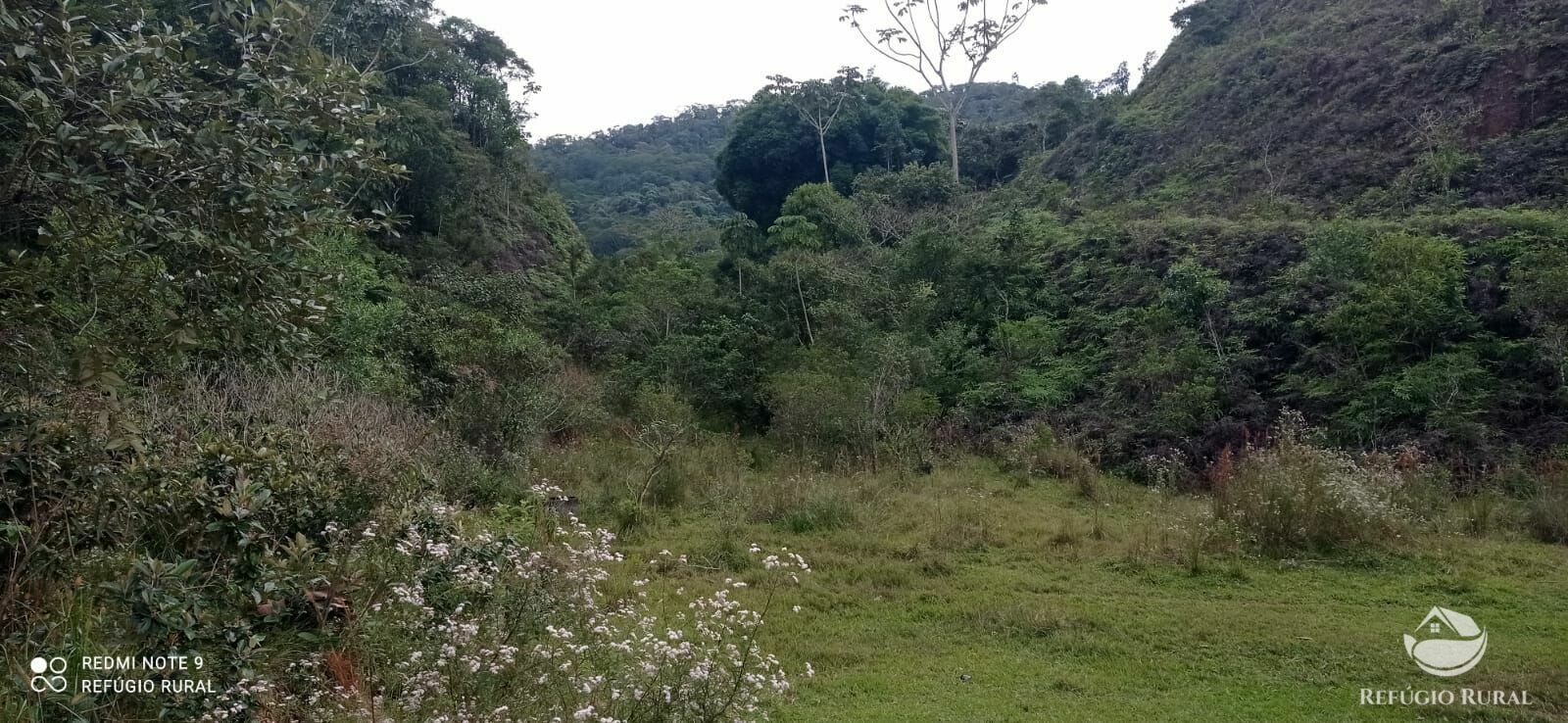 Fazenda à venda com 2 quartos, 2492600m² - Foto 40