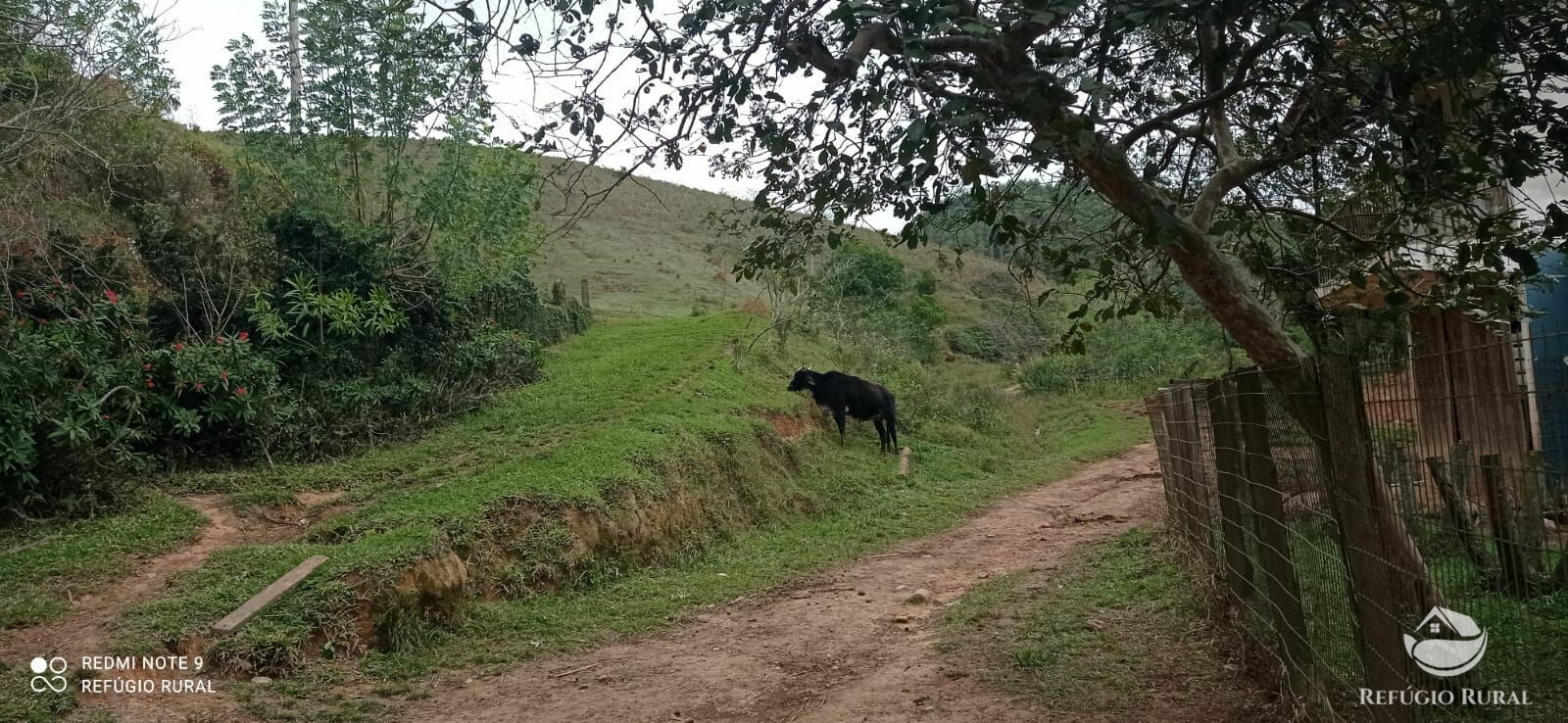 Fazenda à venda com 2 quartos, 2492600m² - Foto 5