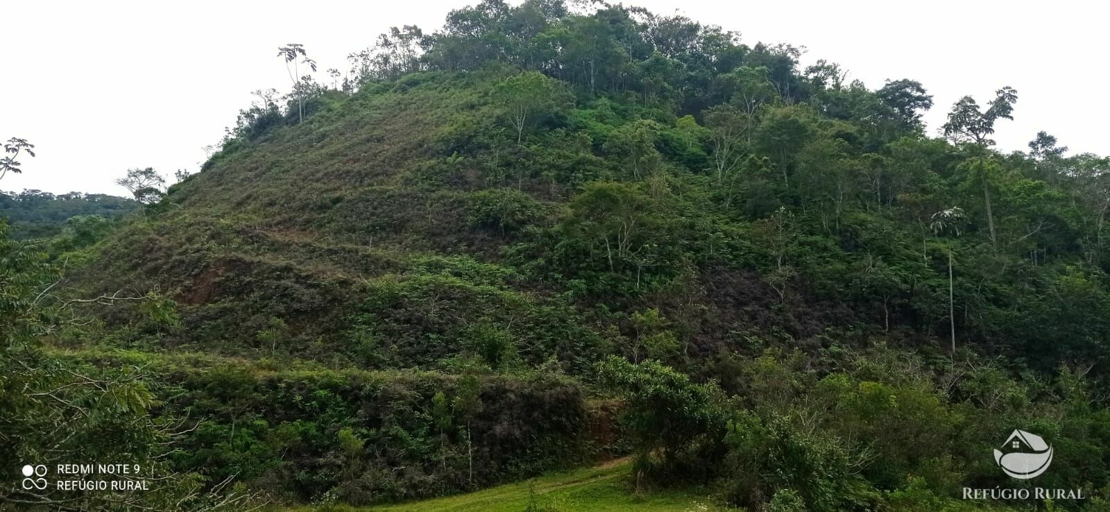 Fazenda à venda com 2 quartos, 2492600m² - Foto 43