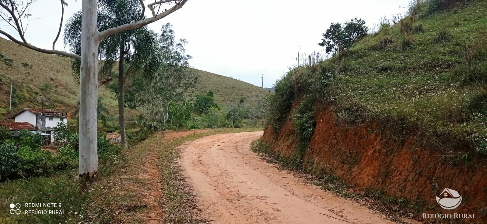 Fazenda à venda com 2 quartos, 2492600m² - Foto 49