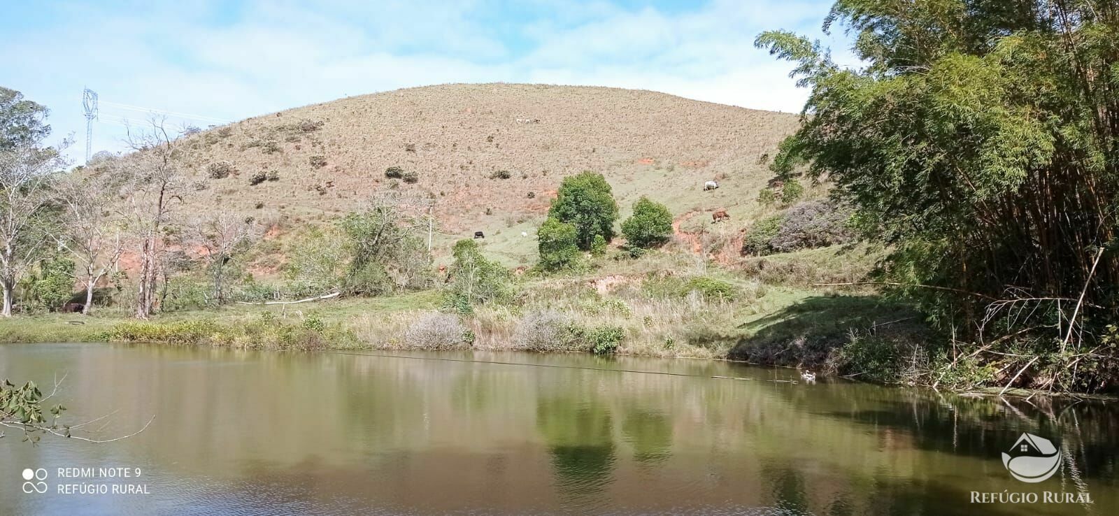 Fazenda à venda com 2 quartos, 2492600m² - Foto 7