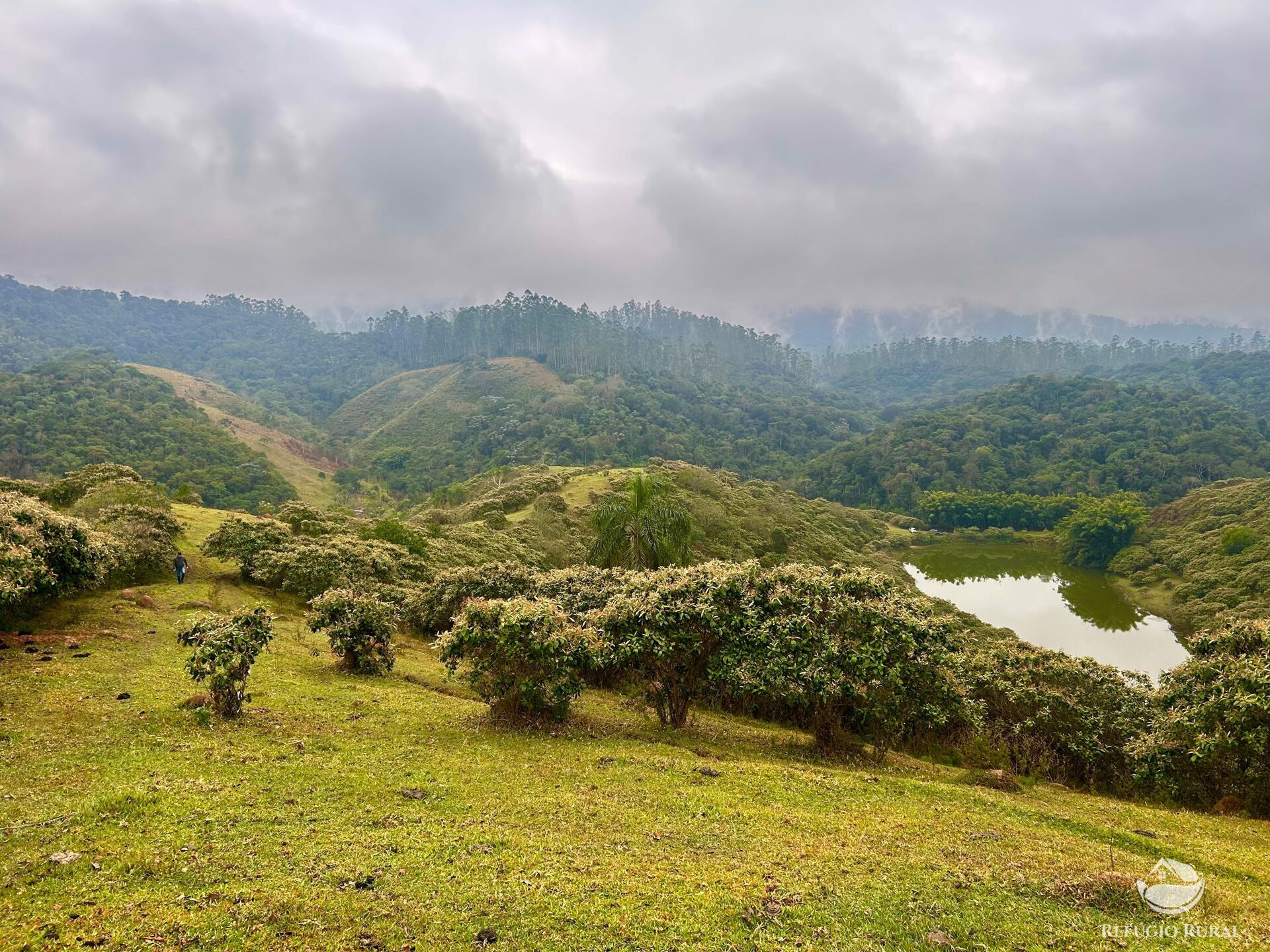 Fazenda à venda com 2 quartos, 2492600m² - Foto 29