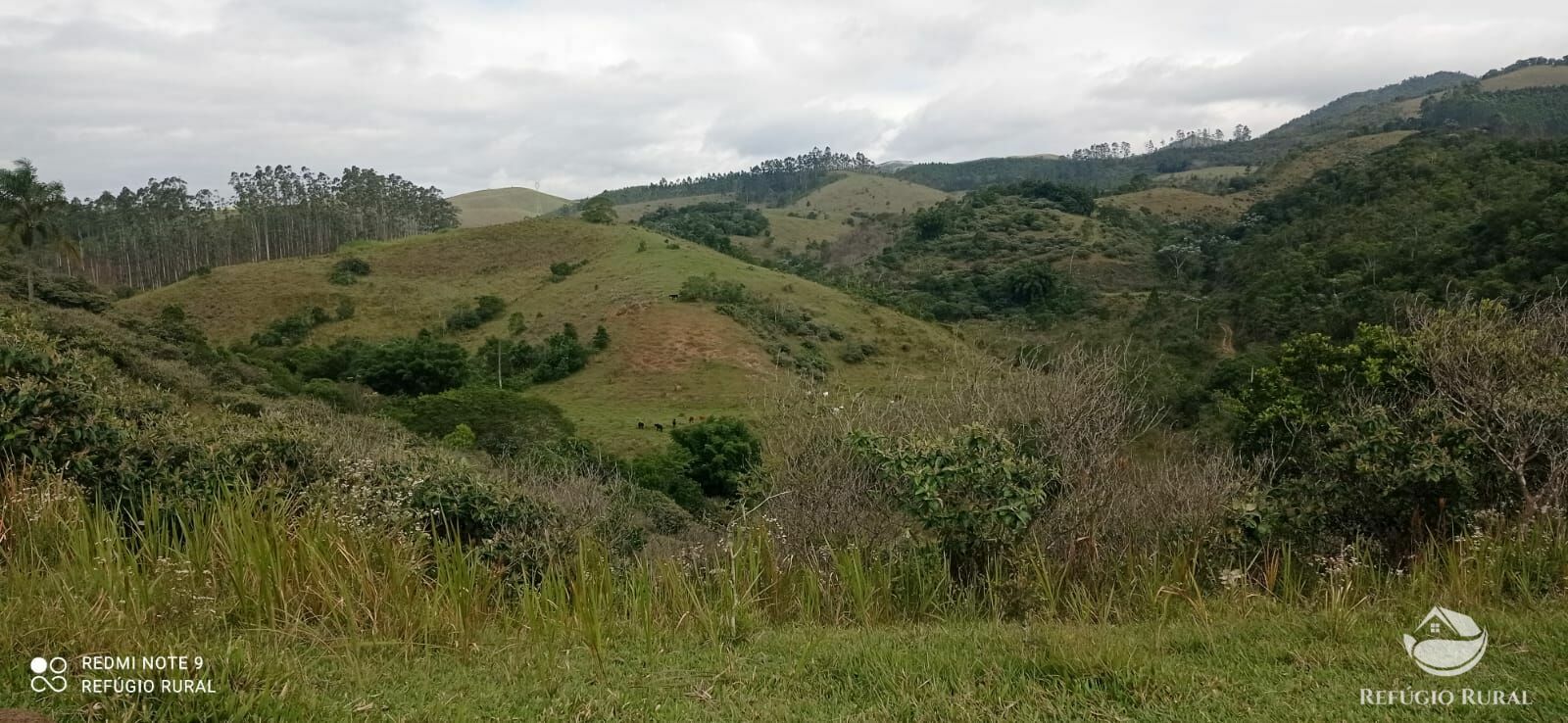 Fazenda à venda com 2 quartos, 2492600m² - Foto 27