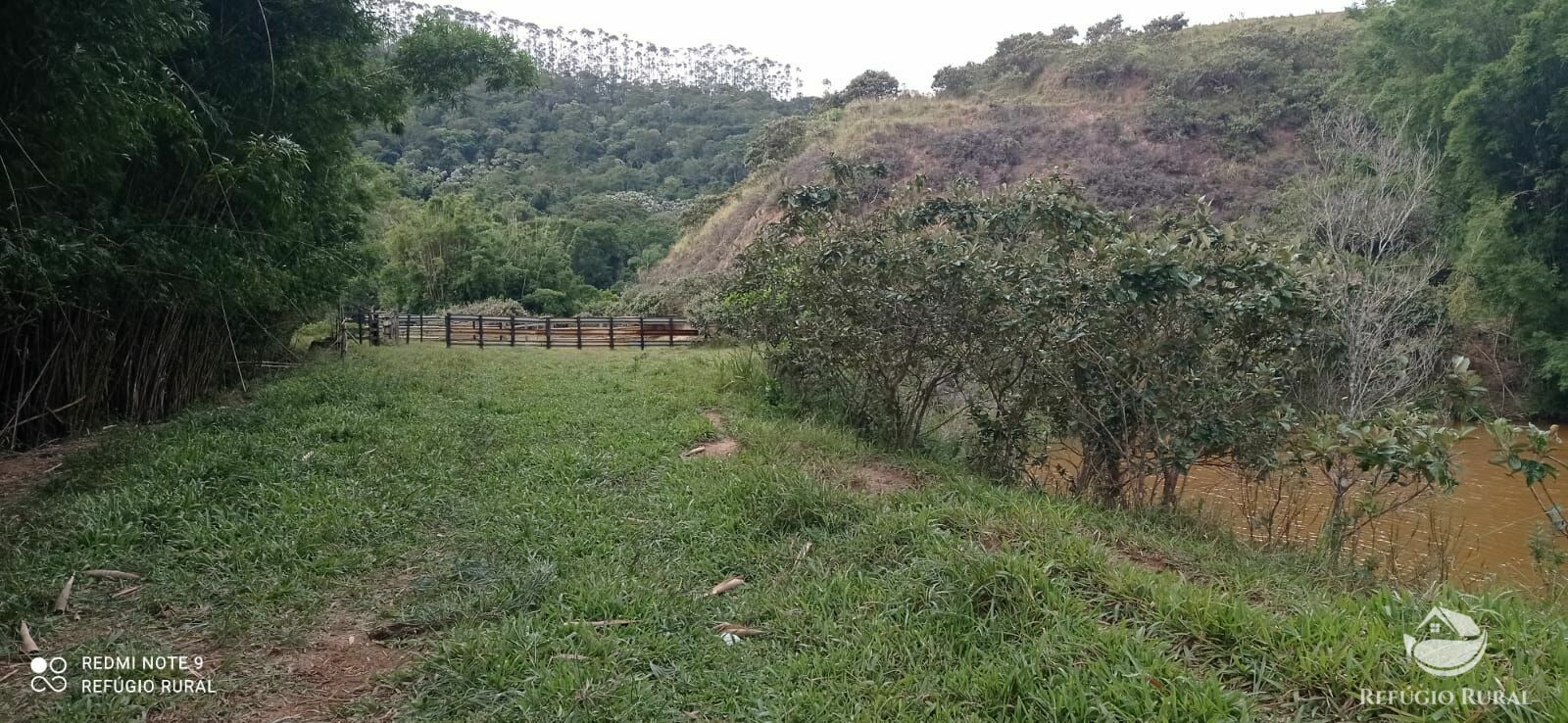 Fazenda à venda com 2 quartos, 2492600m² - Foto 32