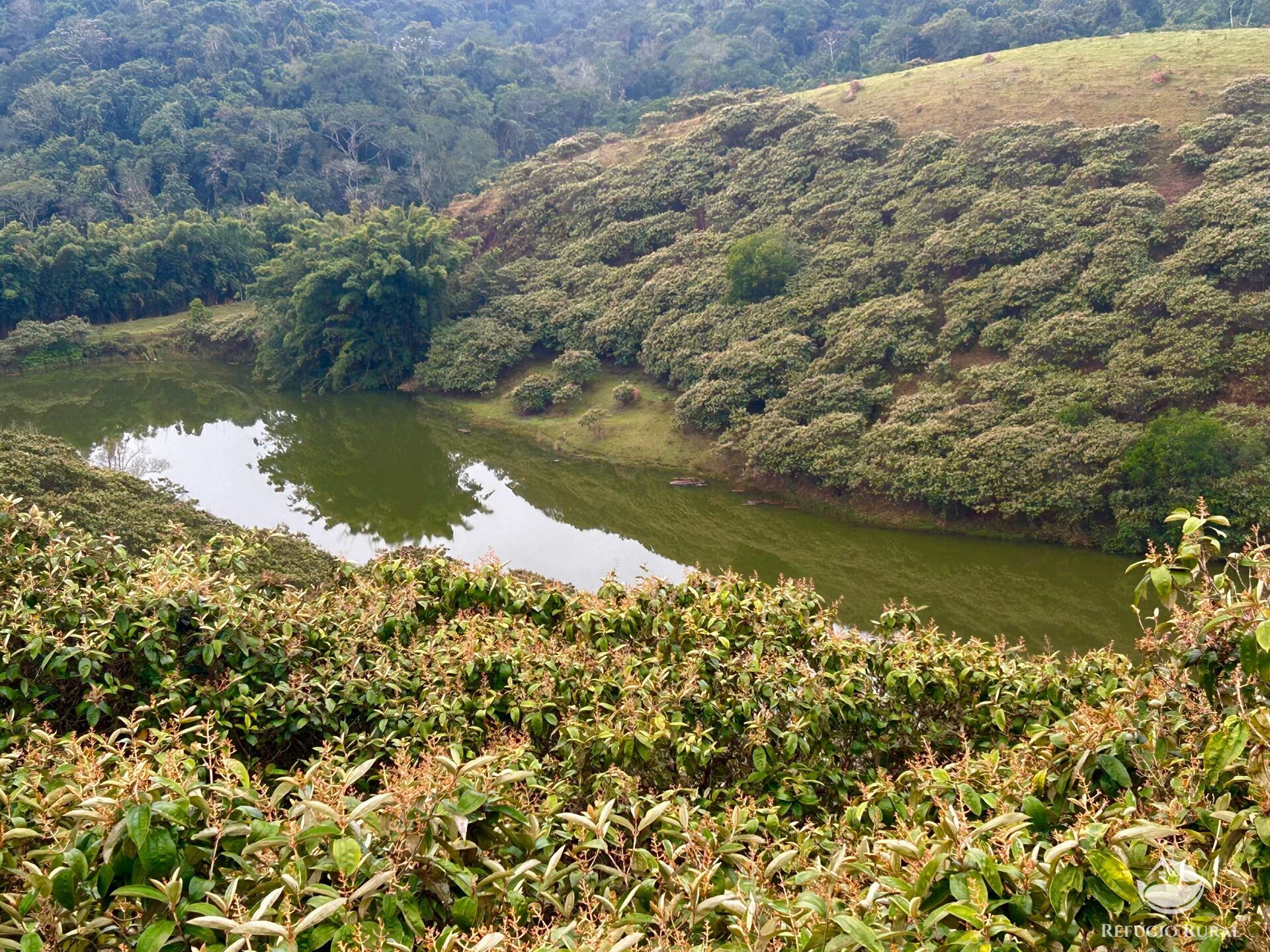 Fazenda à venda com 2 quartos, 2492600m² - Foto 32