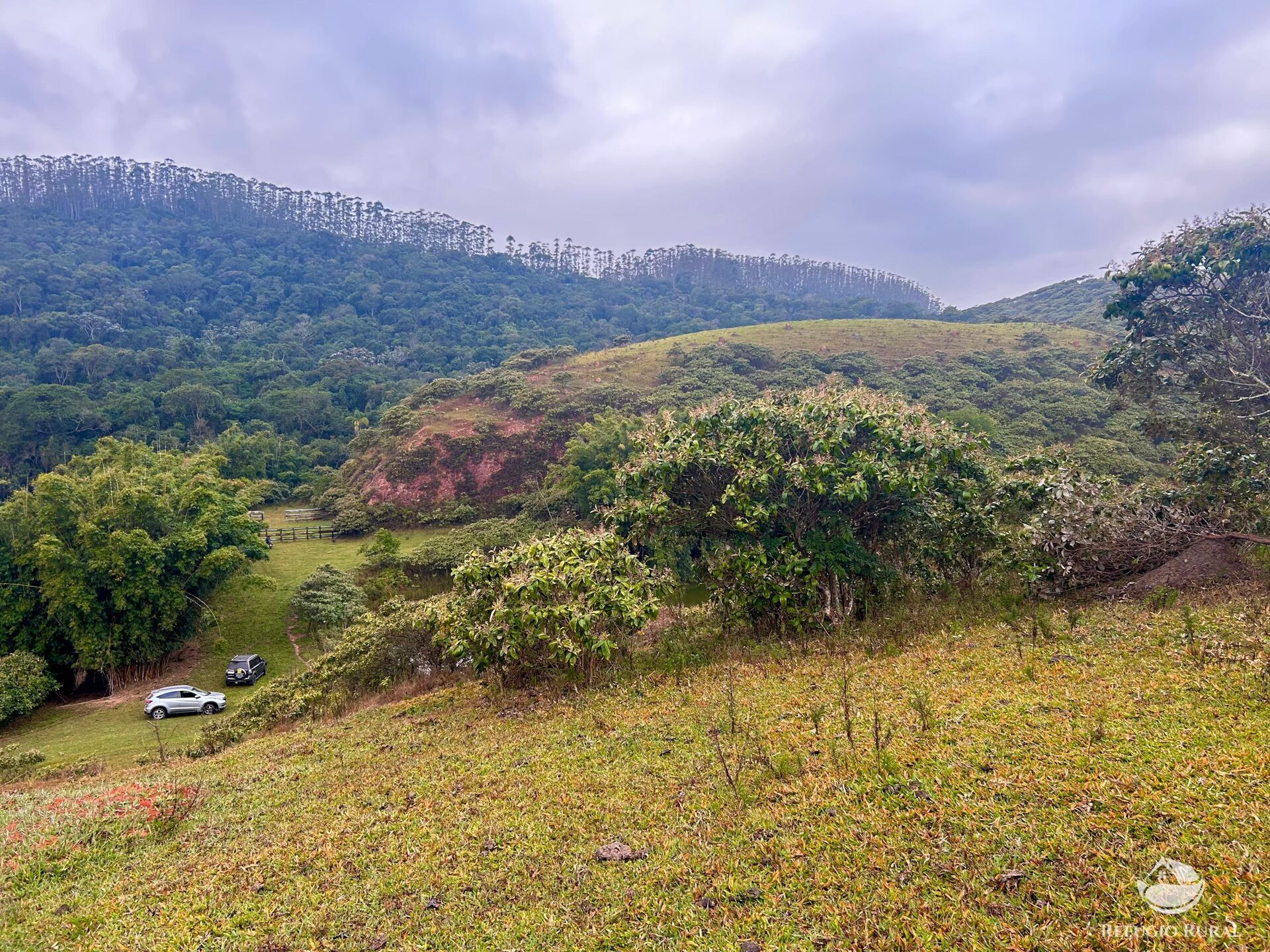 Fazenda à venda com 2 quartos, 2492600m² - Foto 40