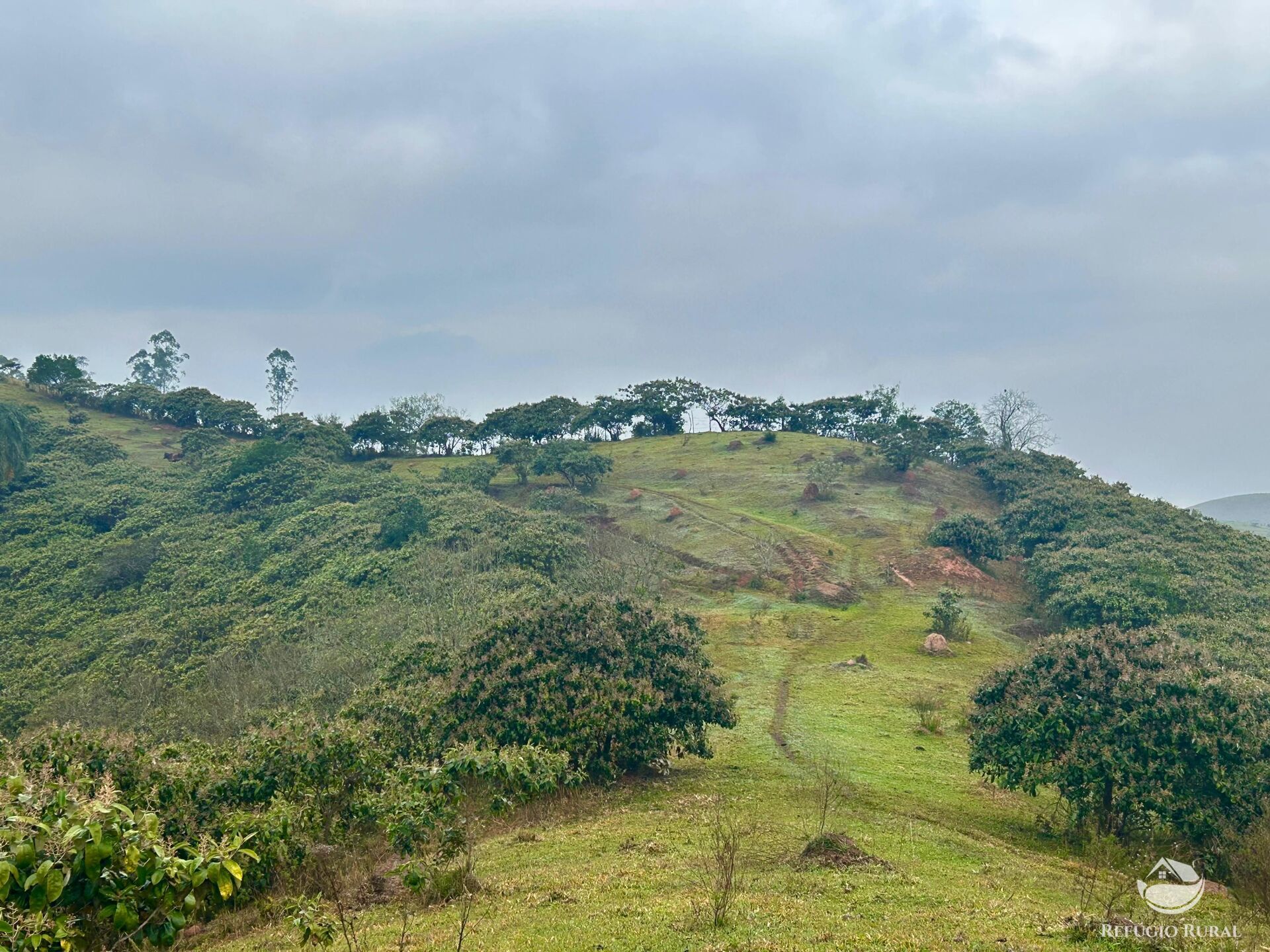 Fazenda à venda com 2 quartos, 2492600m² - Foto 37