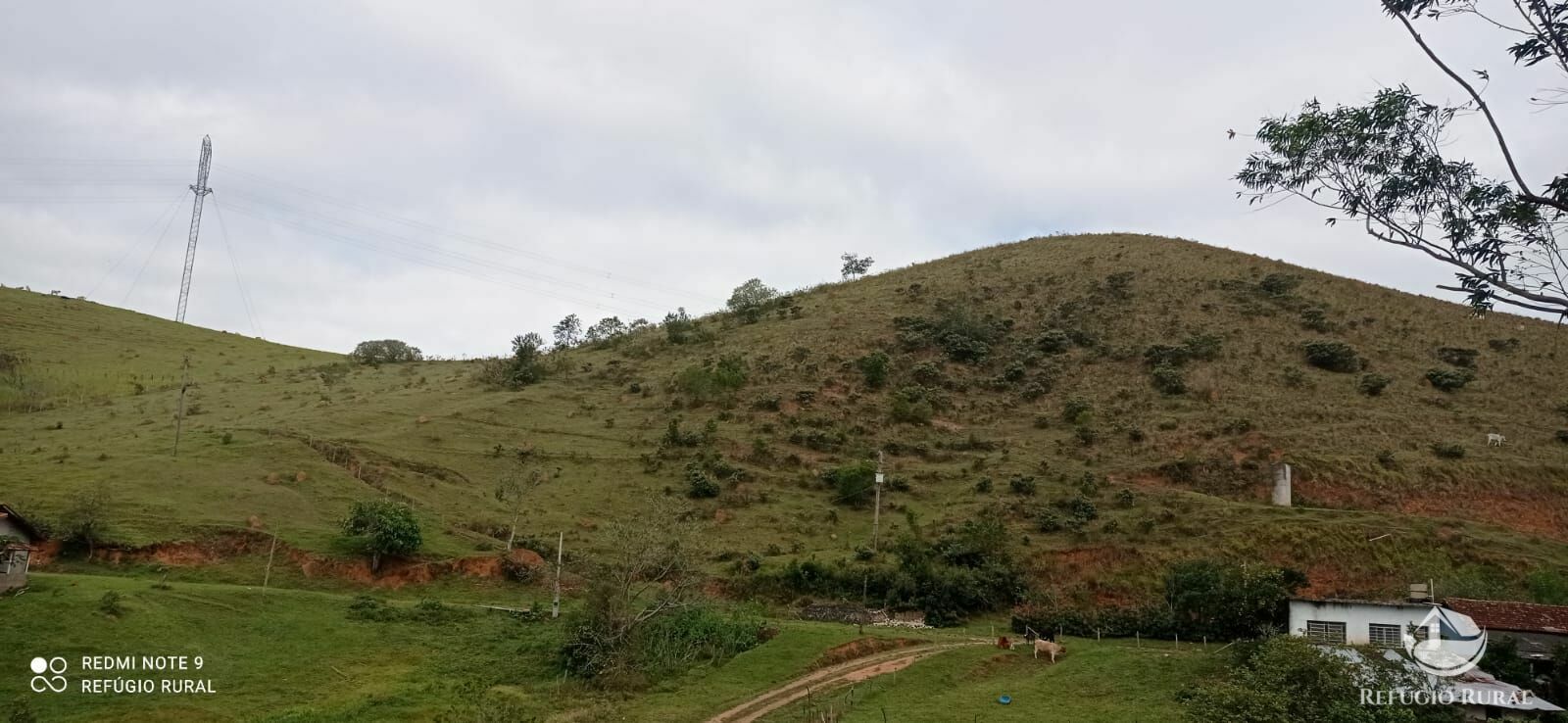 Fazenda à venda com 2 quartos, 2492600m² - Foto 6