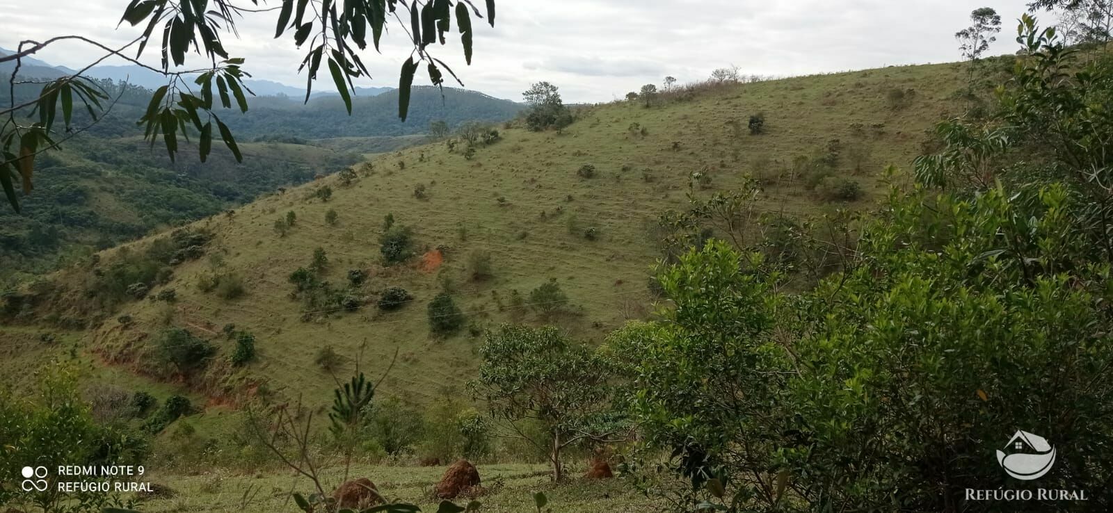 Fazenda à venda com 2 quartos, 2492600m² - Foto 21