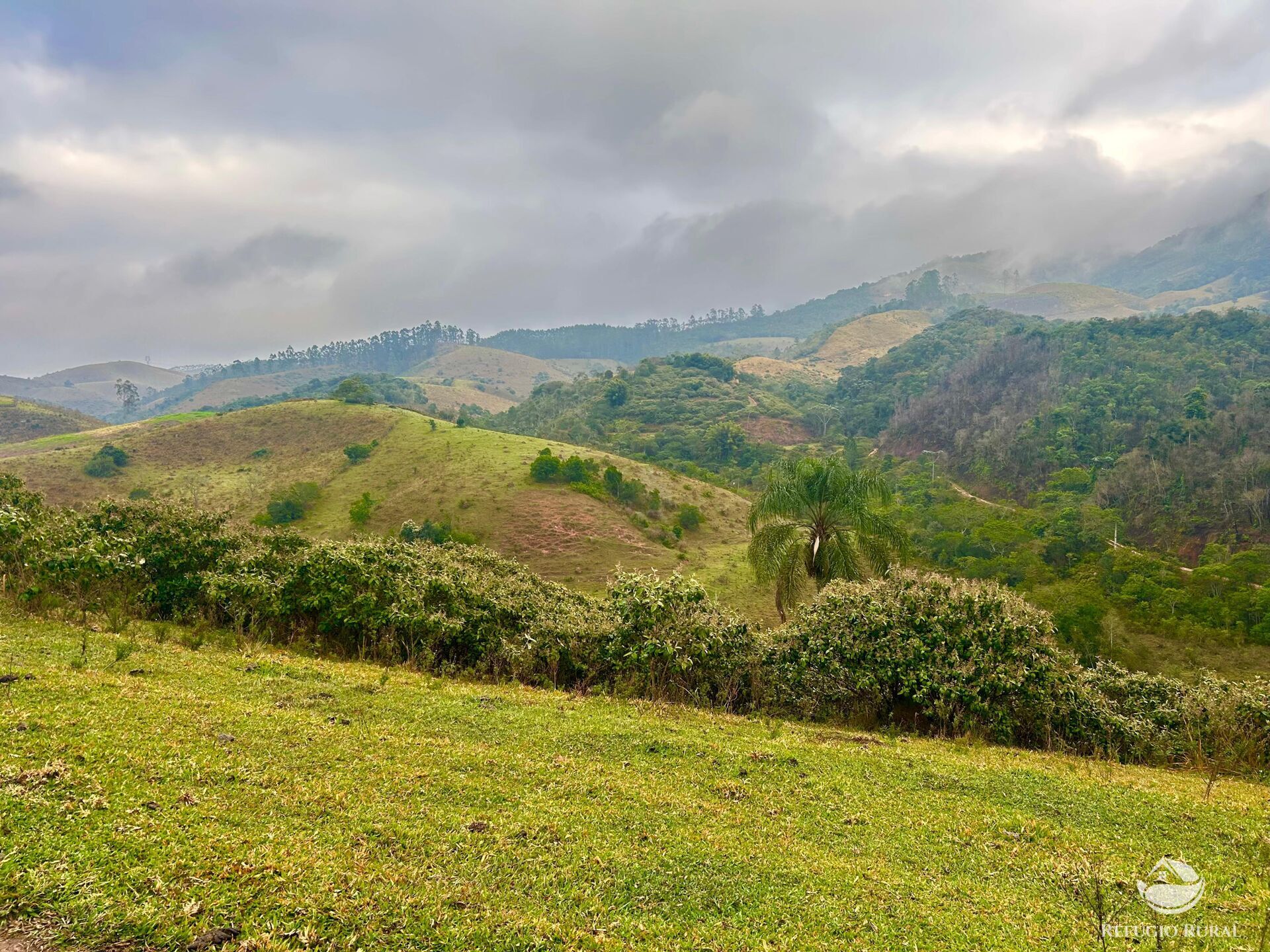 Fazenda à venda com 2 quartos, 2492600m² - Foto 35