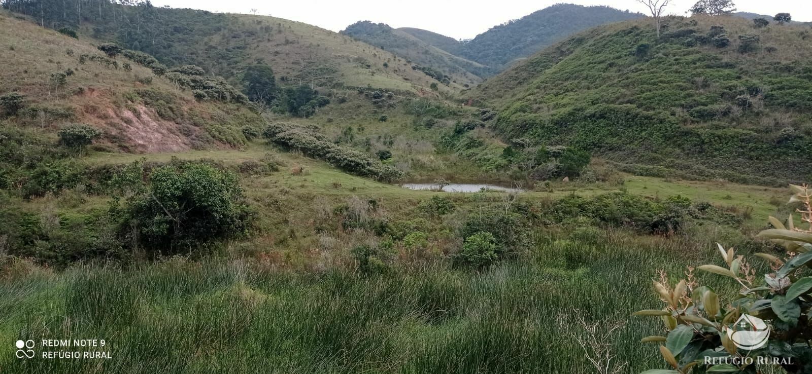 Fazenda à venda com 2 quartos, 2492600m² - Foto 45