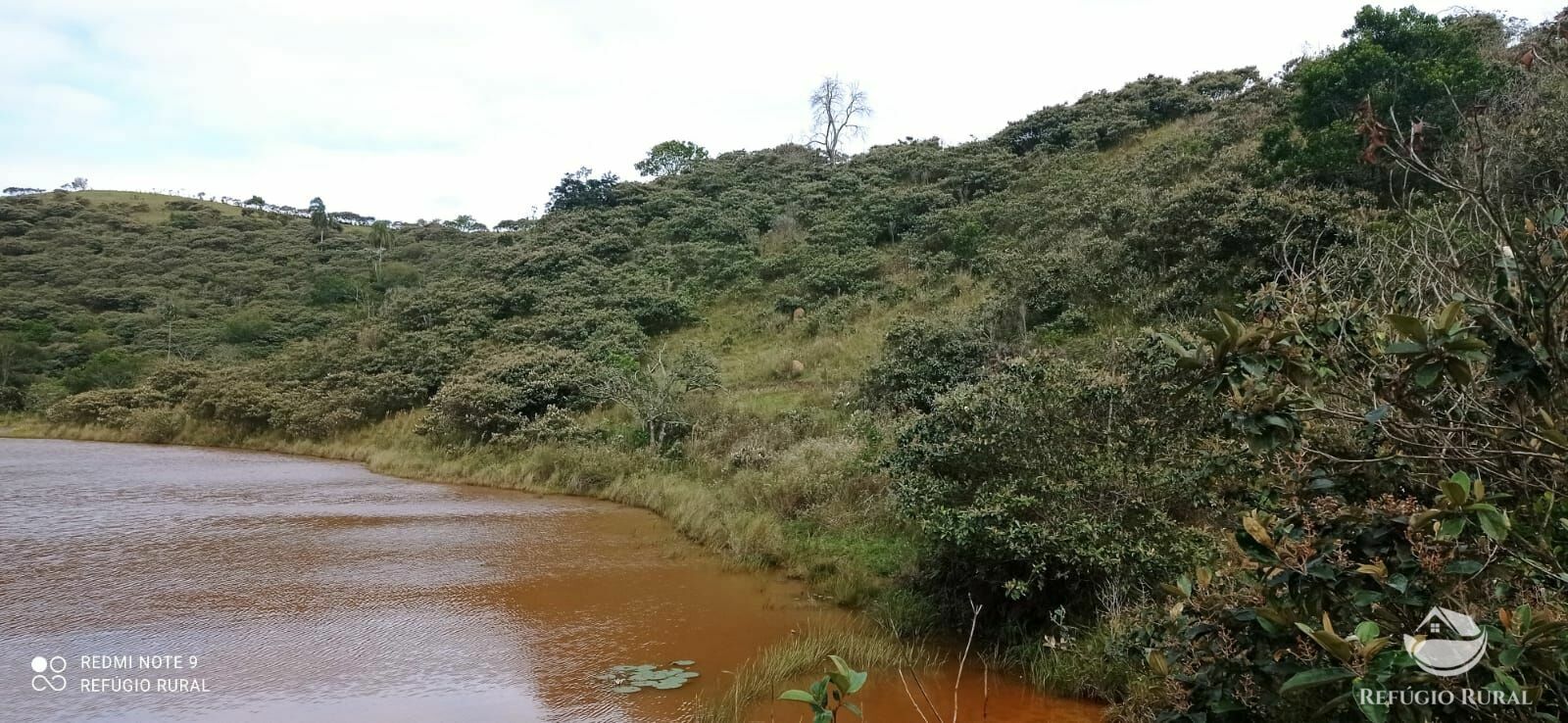 Fazenda à venda com 2 quartos, 2492600m² - Foto 39