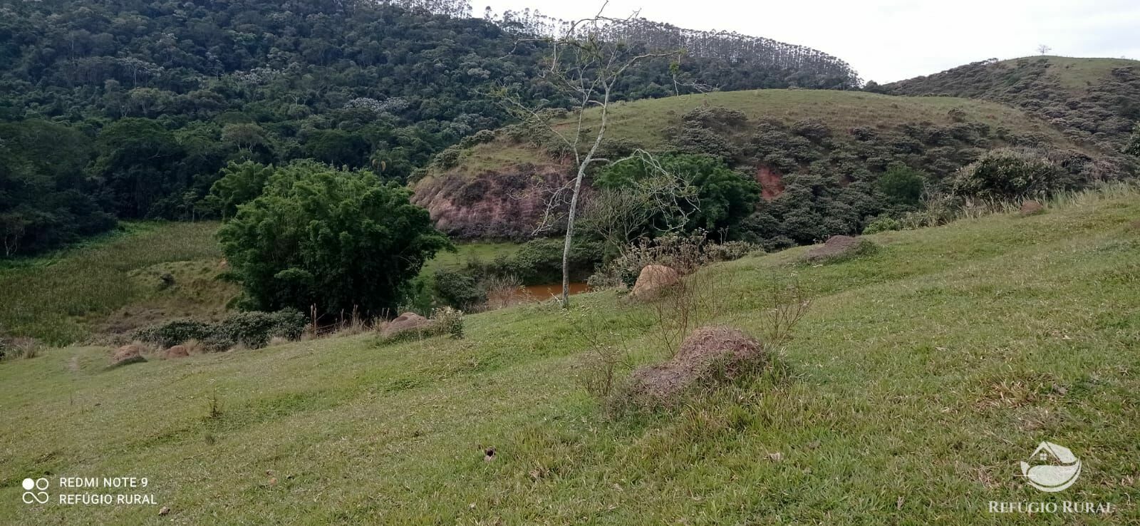 Fazenda à venda com 2 quartos, 2492600m² - Foto 25