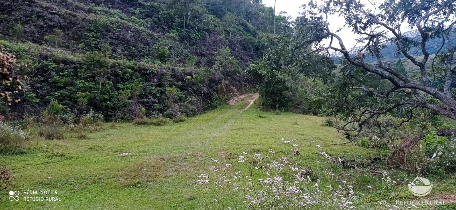 Fazenda à venda com 2 quartos, 2492600m² - Foto 41