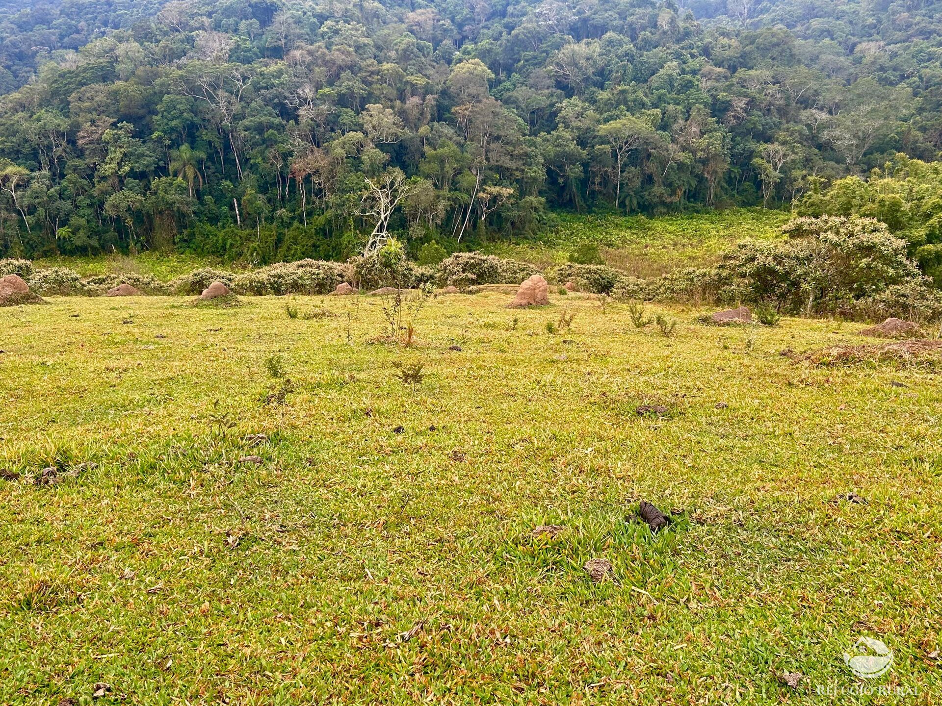 Fazenda à venda com 2 quartos, 2492600m² - Foto 17