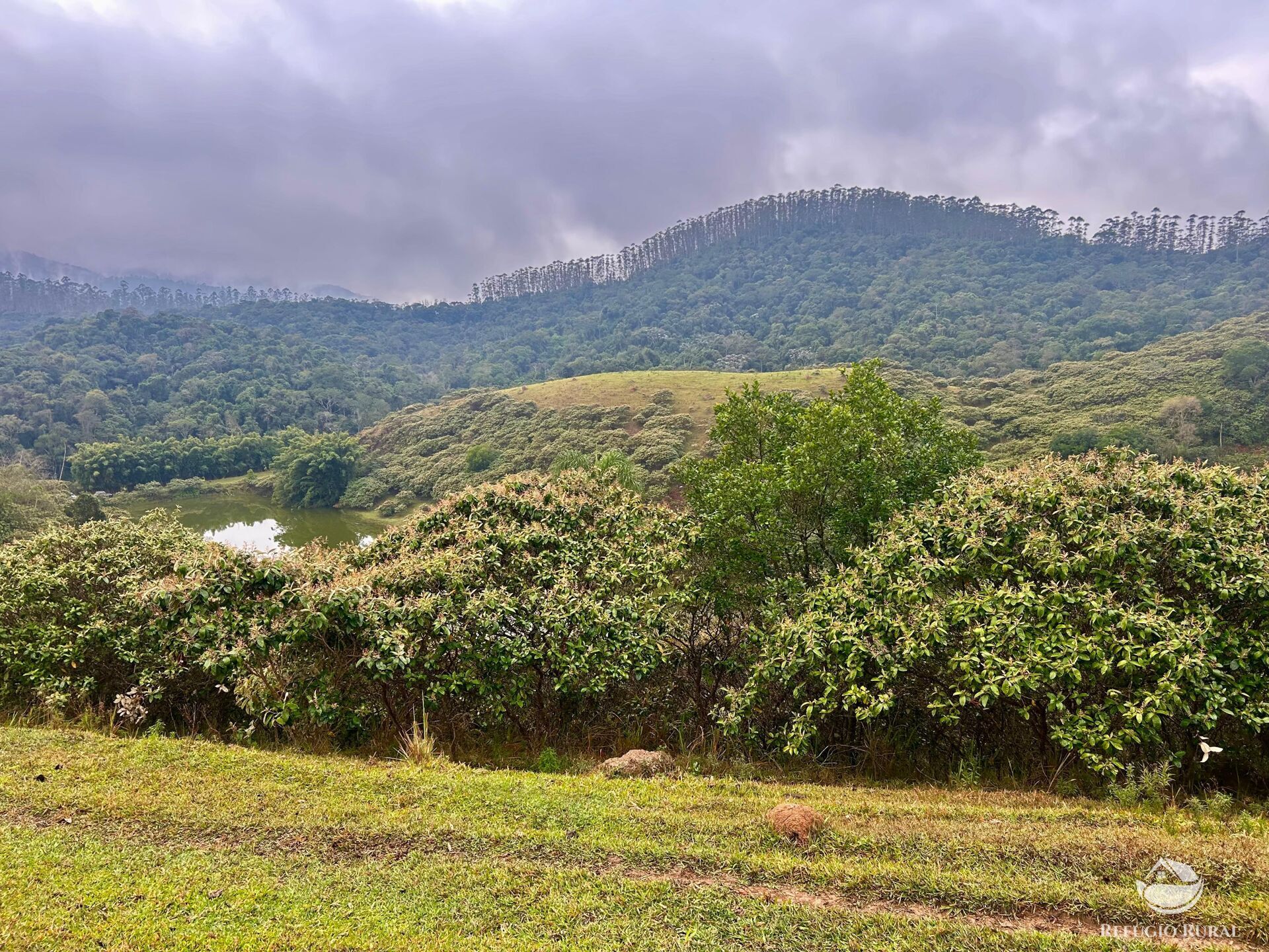 Fazenda à venda com 2 quartos, 2492600m² - Foto 30