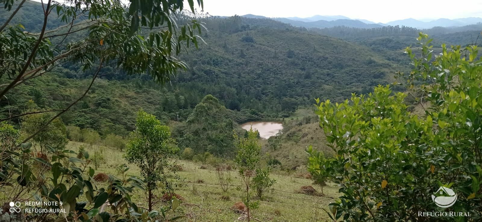 Fazenda à venda com 2 quartos, 2492600m² - Foto 20